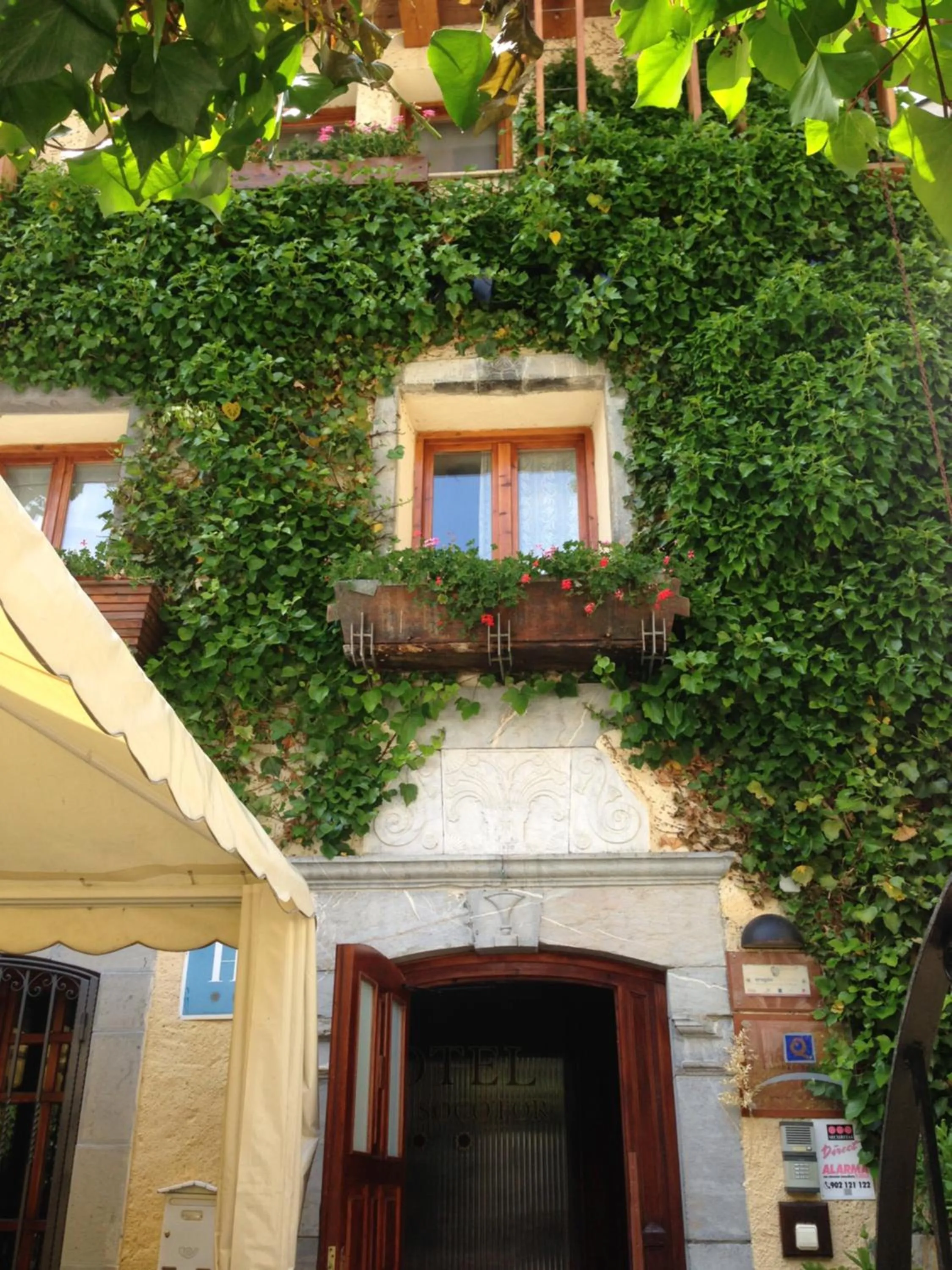 Facade/entrance in Hotel Casa Socotor