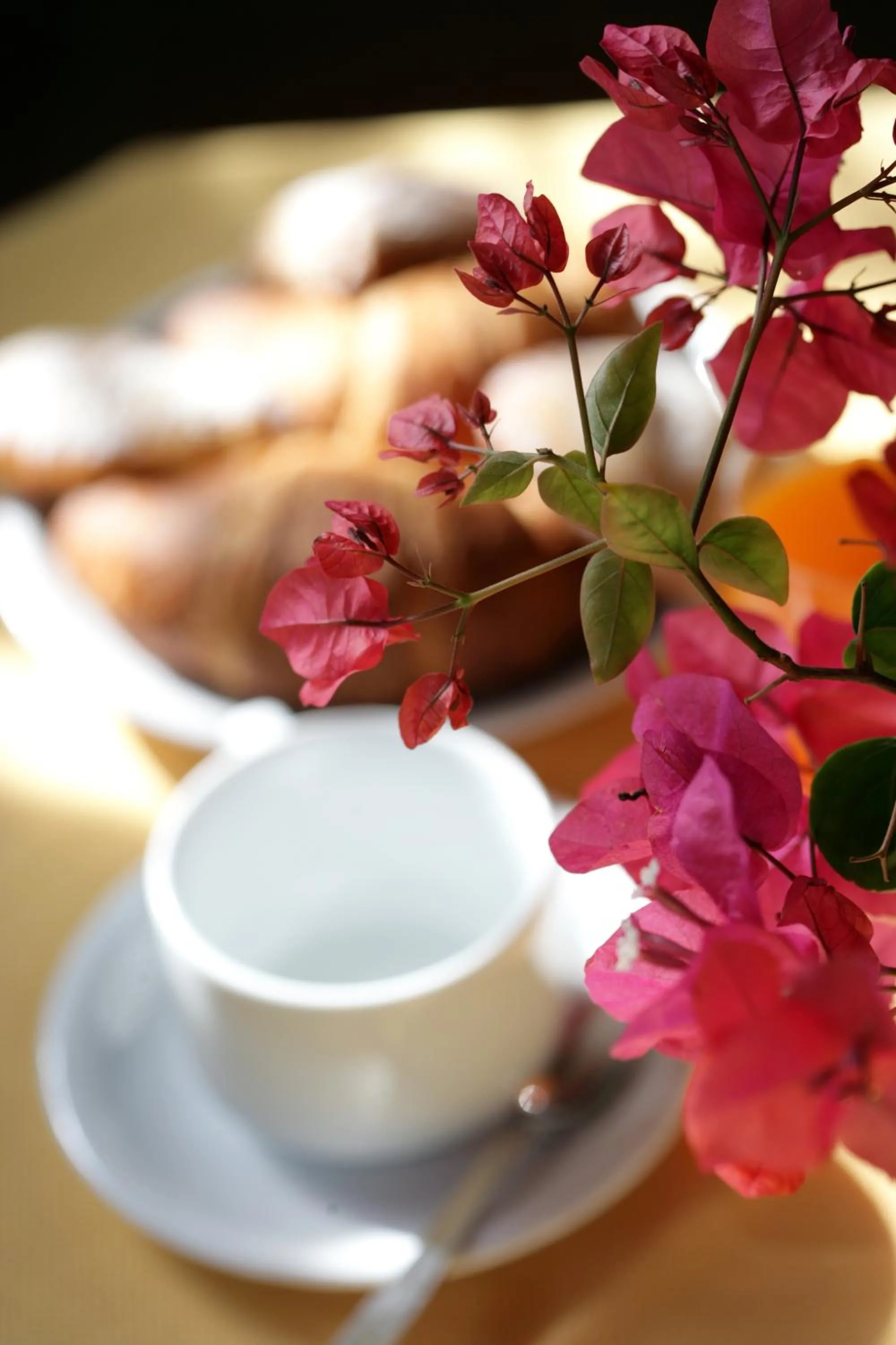 Food and drinks in Albergo Bouganville