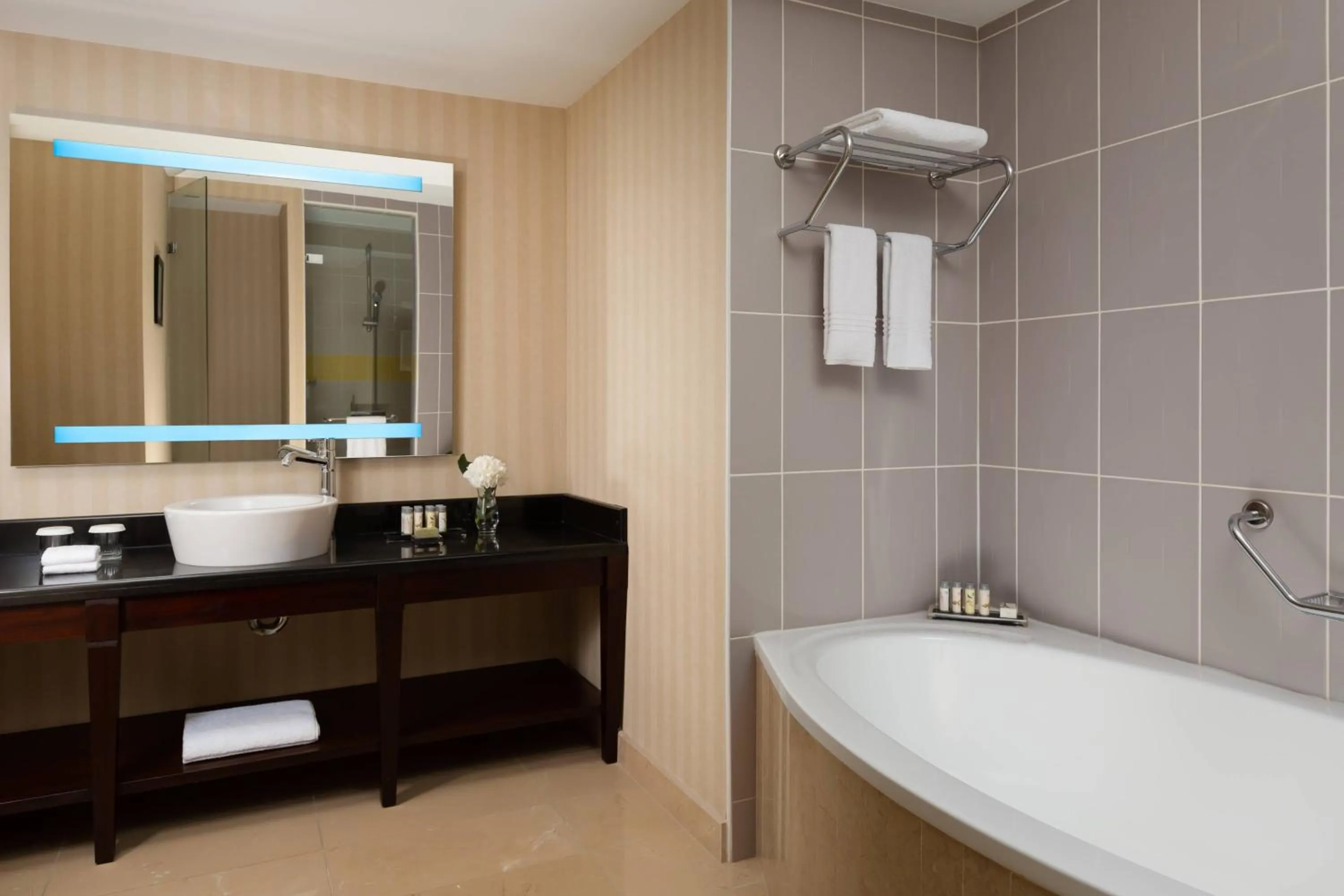 Bathroom in Renaissance by Sulo