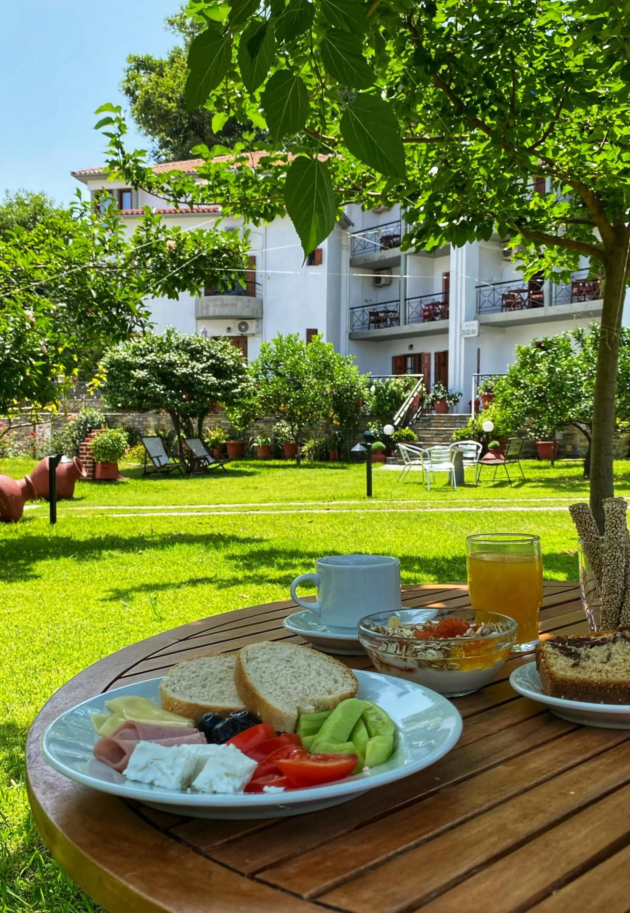 Garden in Hotel Eleana