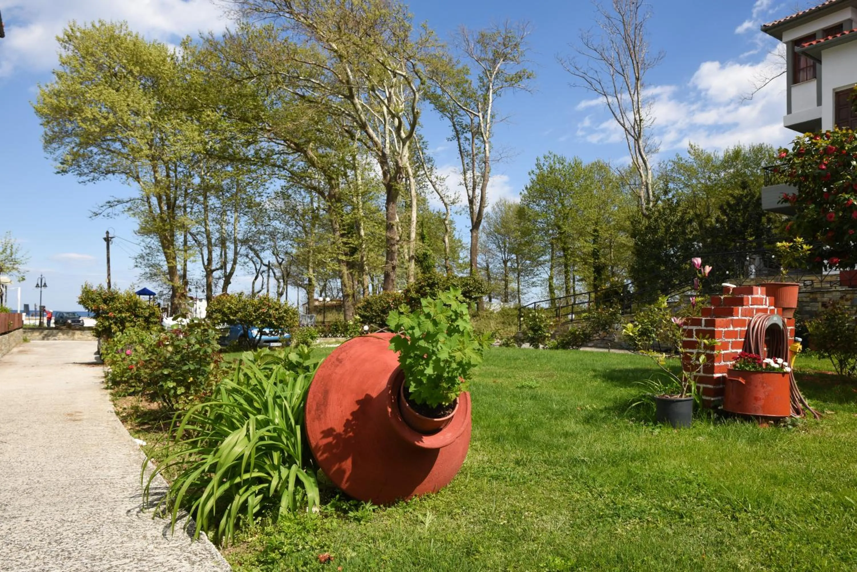 Garden in Hotel Eleana