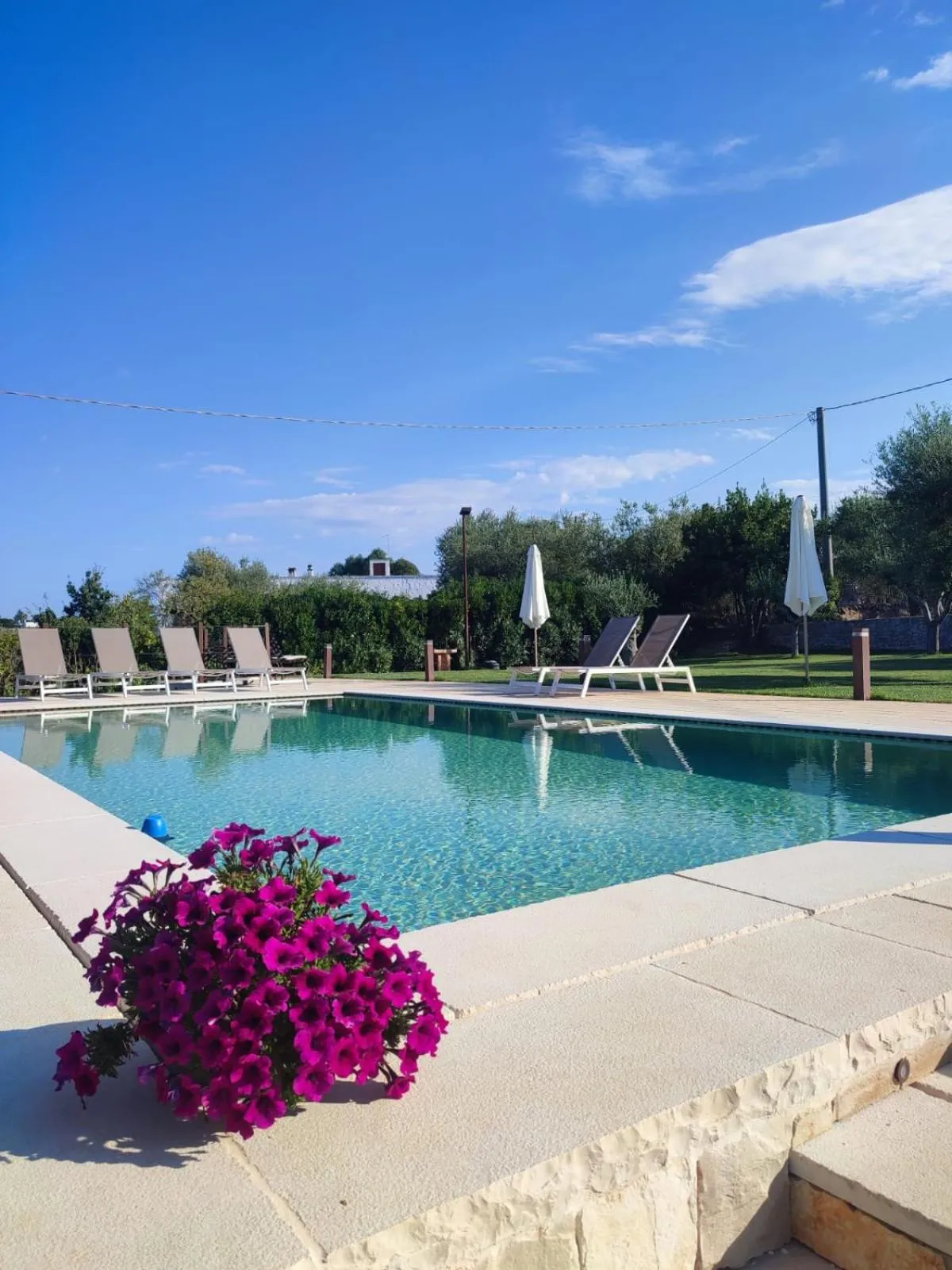 Swimming pool in Villa Ostuni