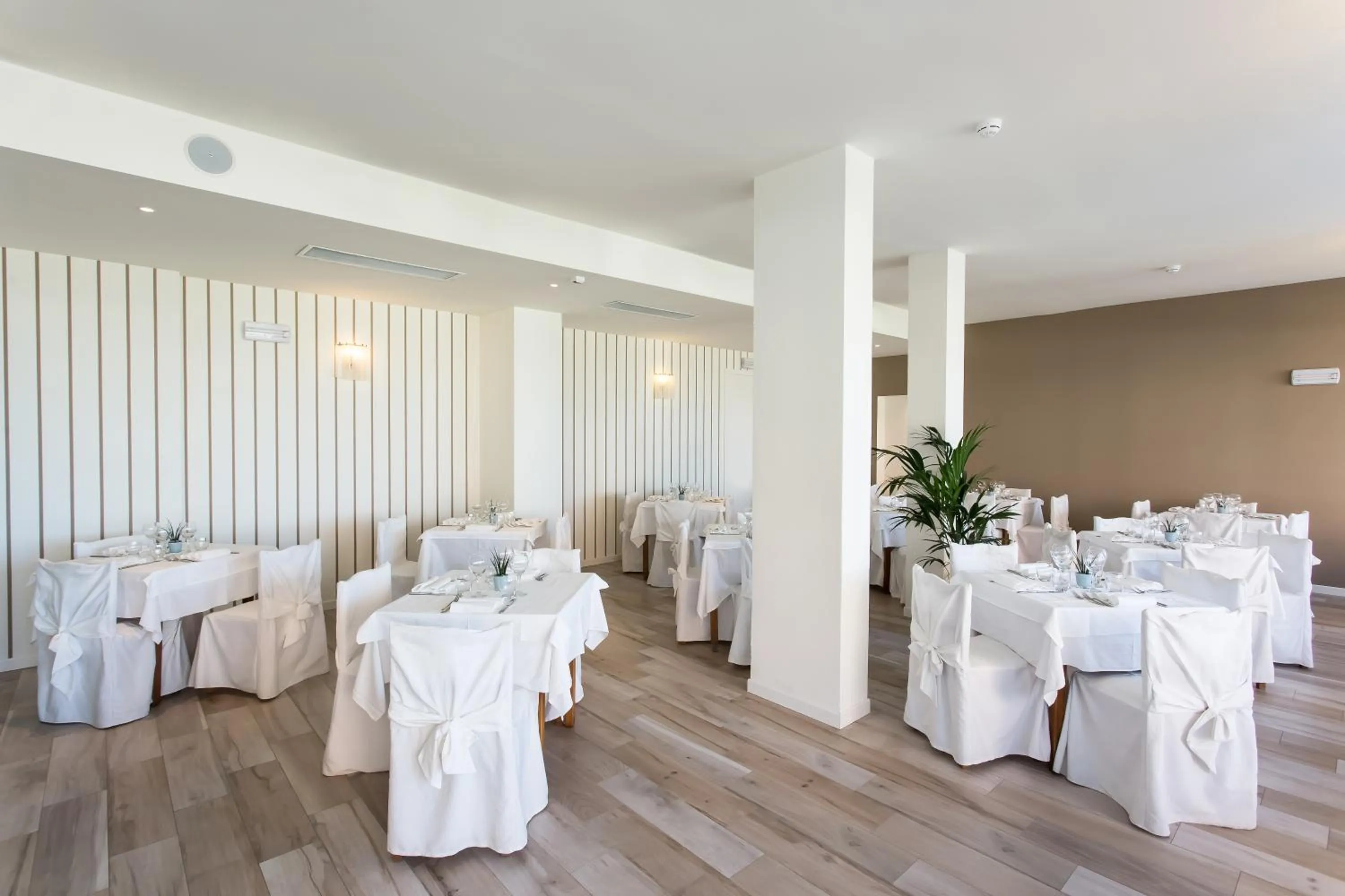 Restaurant/places to eat in Hotel Nettuno