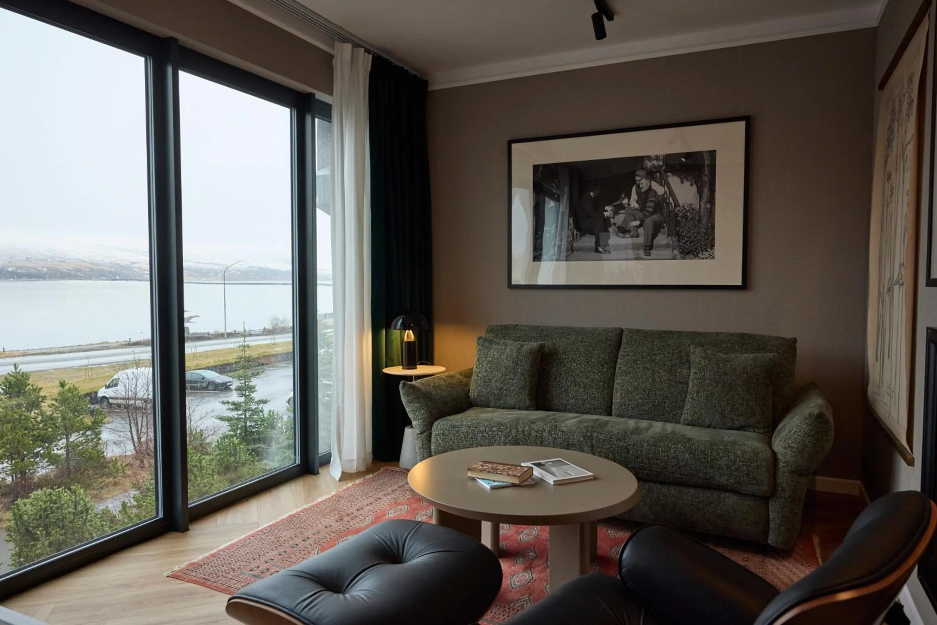 Natural landscape in Hotel Akureyri