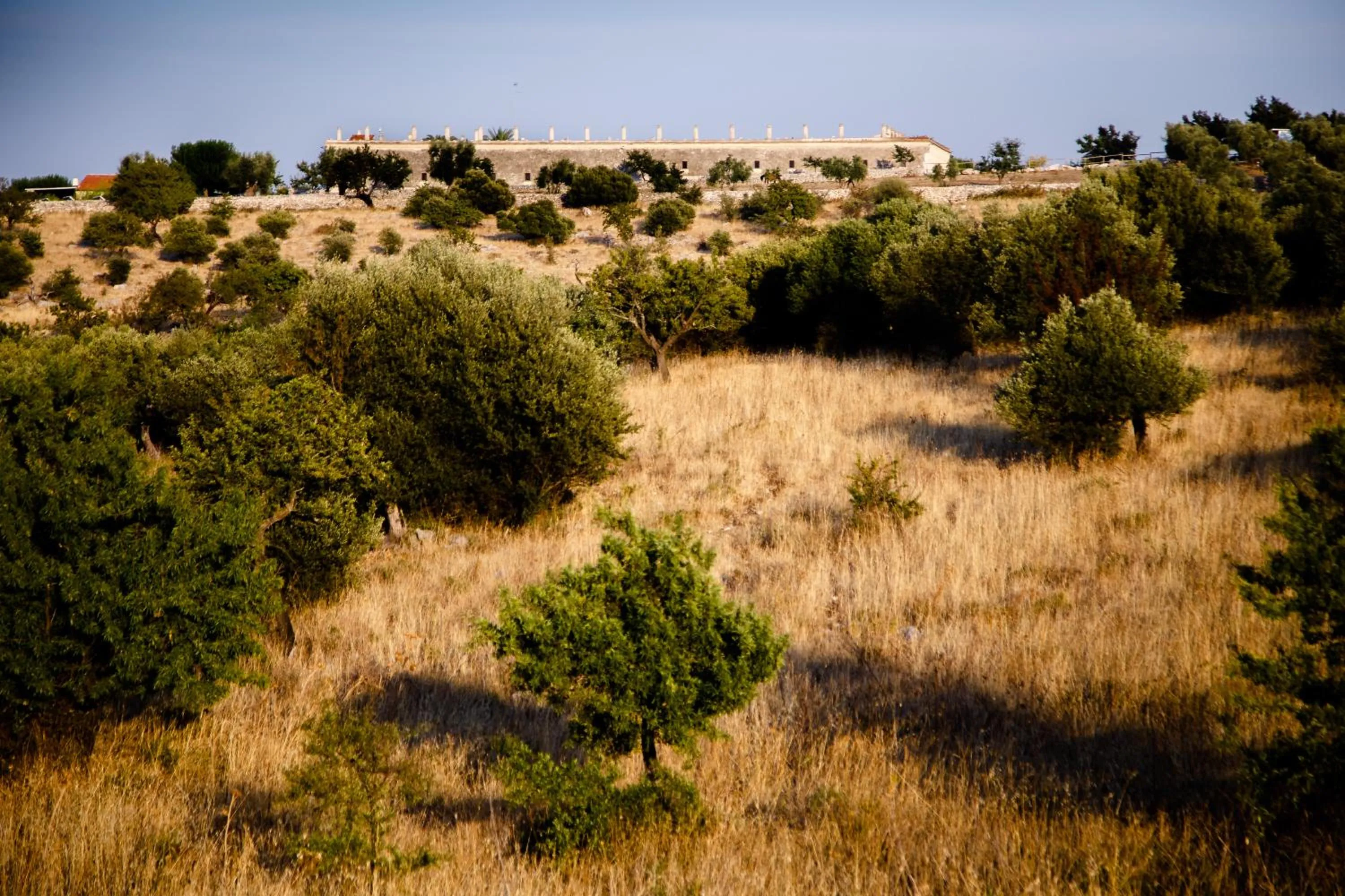 Property building in Lama Di Luna Biomasseria