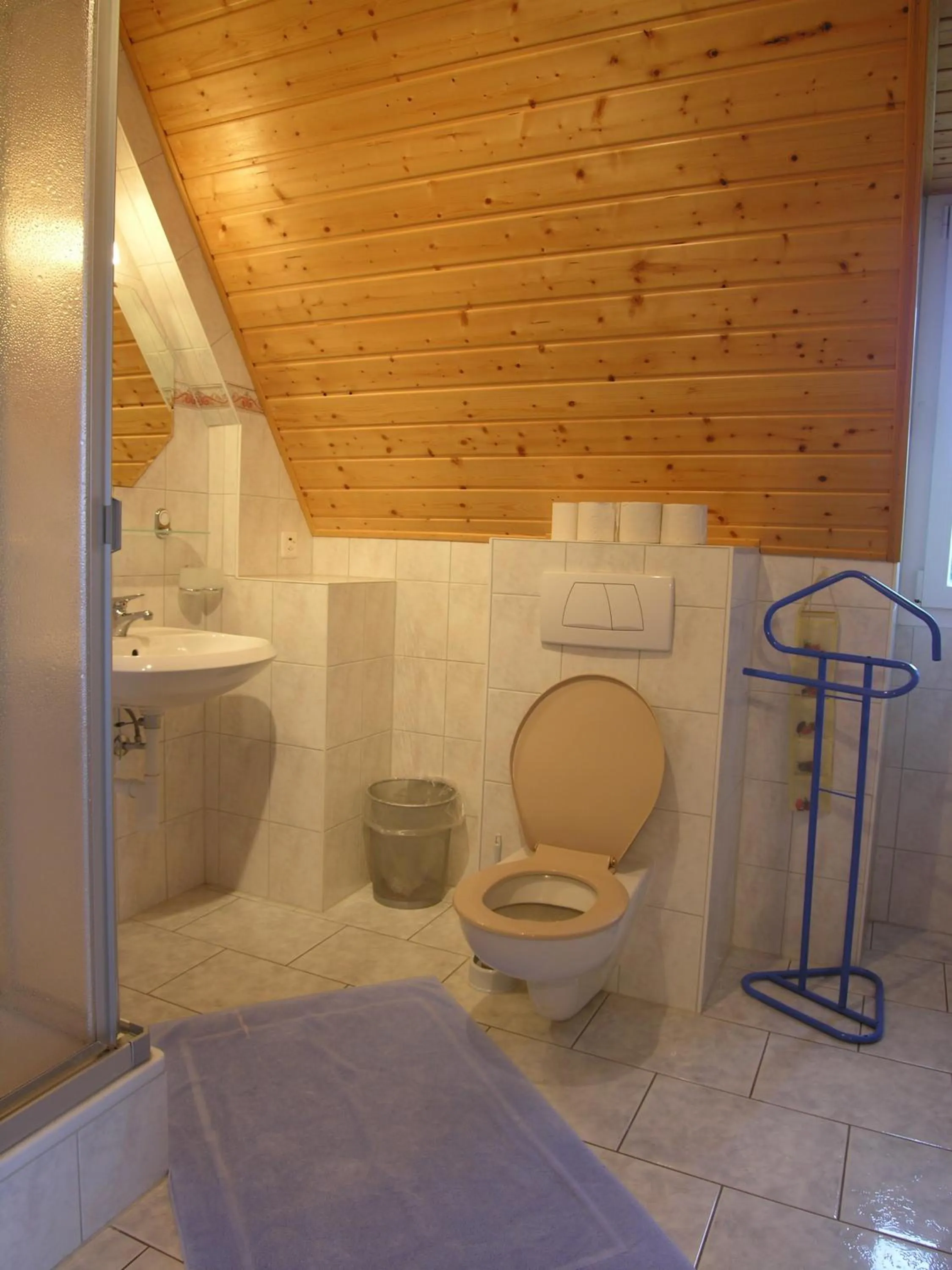 Shower in Hotel Acacia