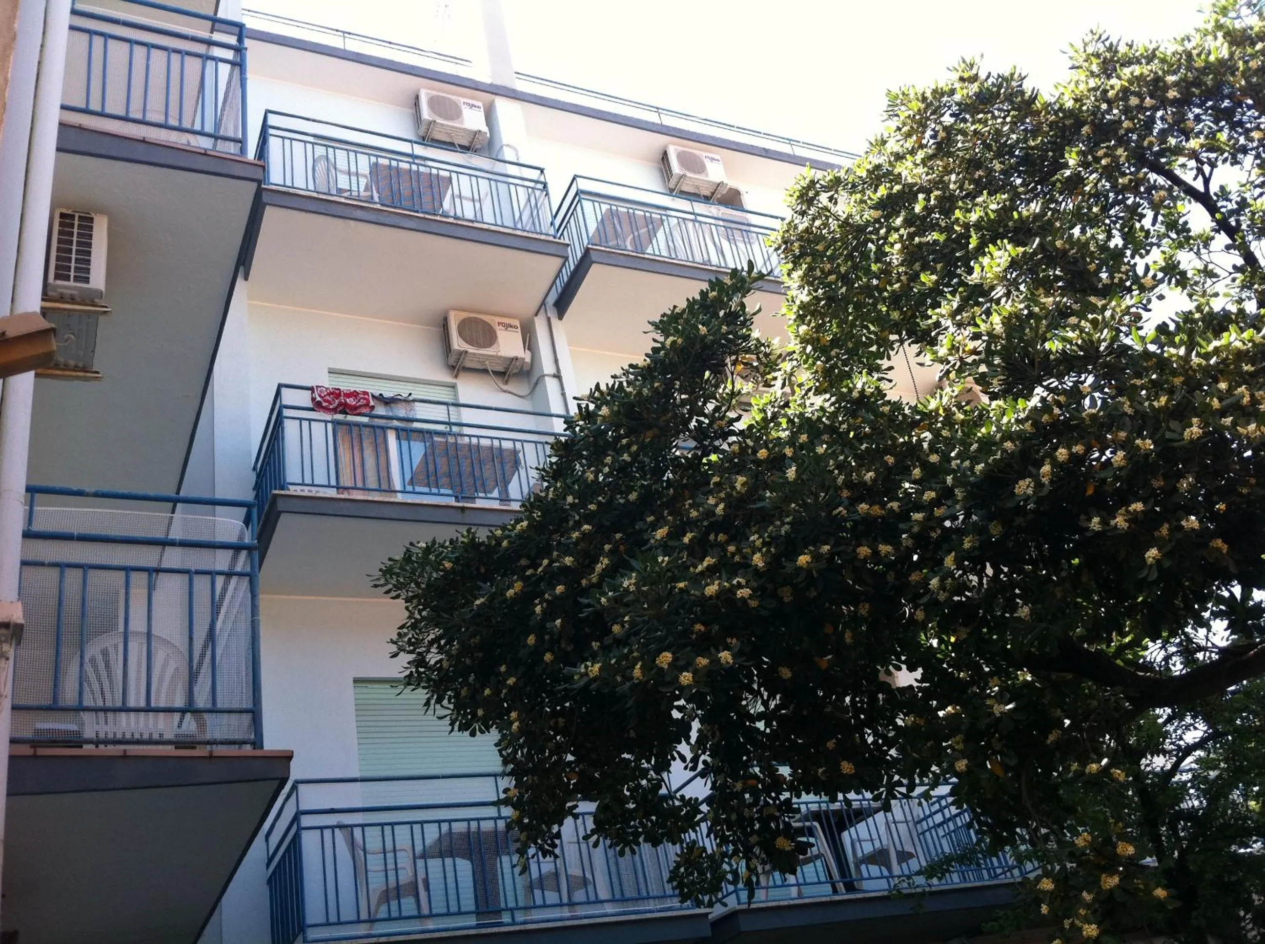 Property building in Hotel Canova