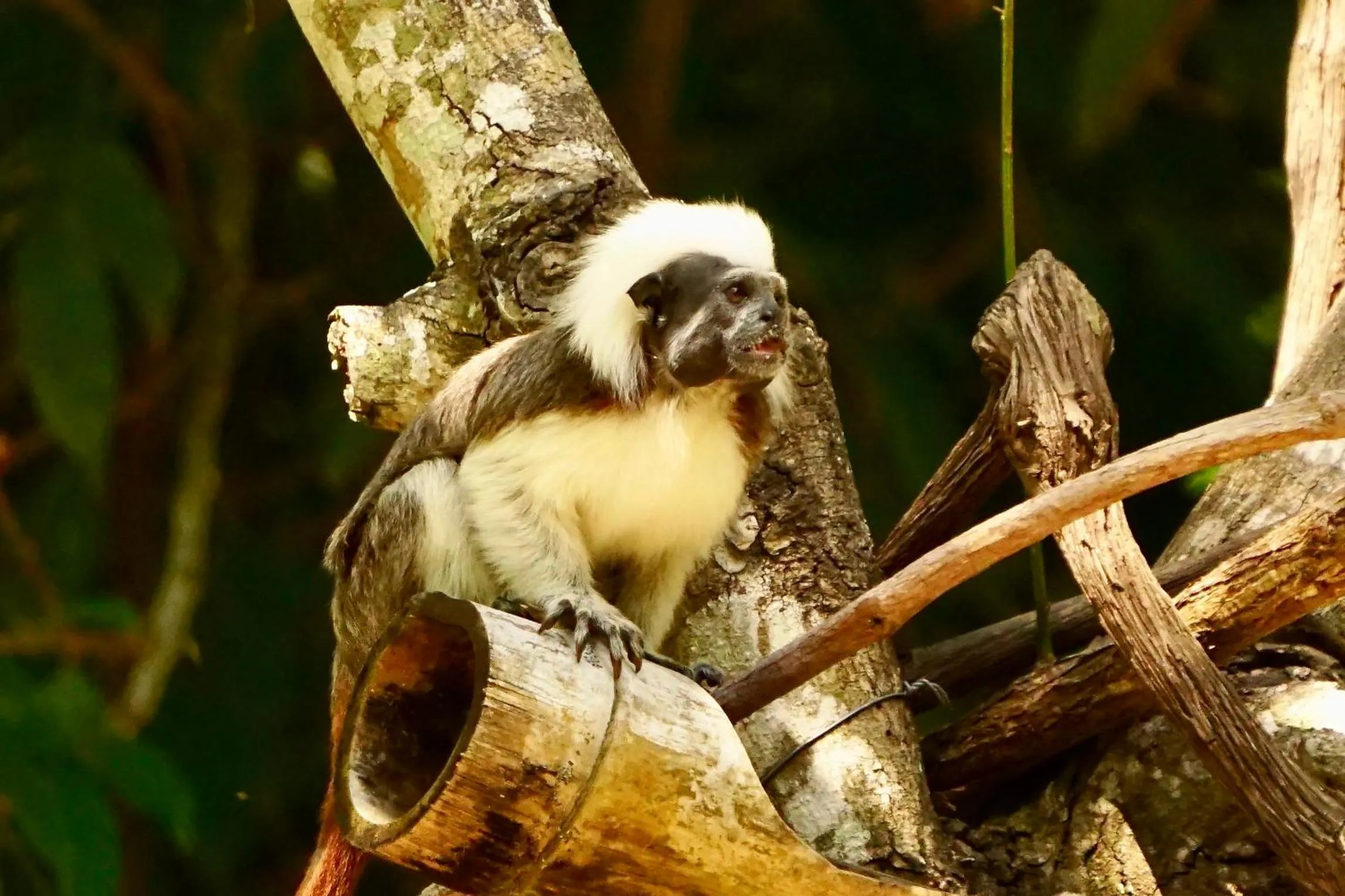 Natural landscape in Barranquero Hotel