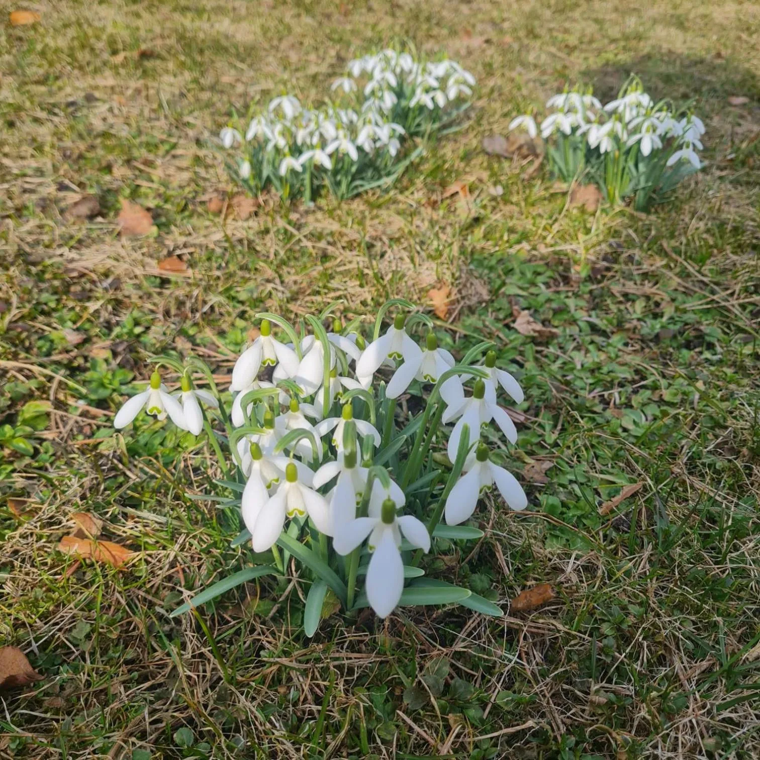 Natural landscape in Amber Coast & Sea