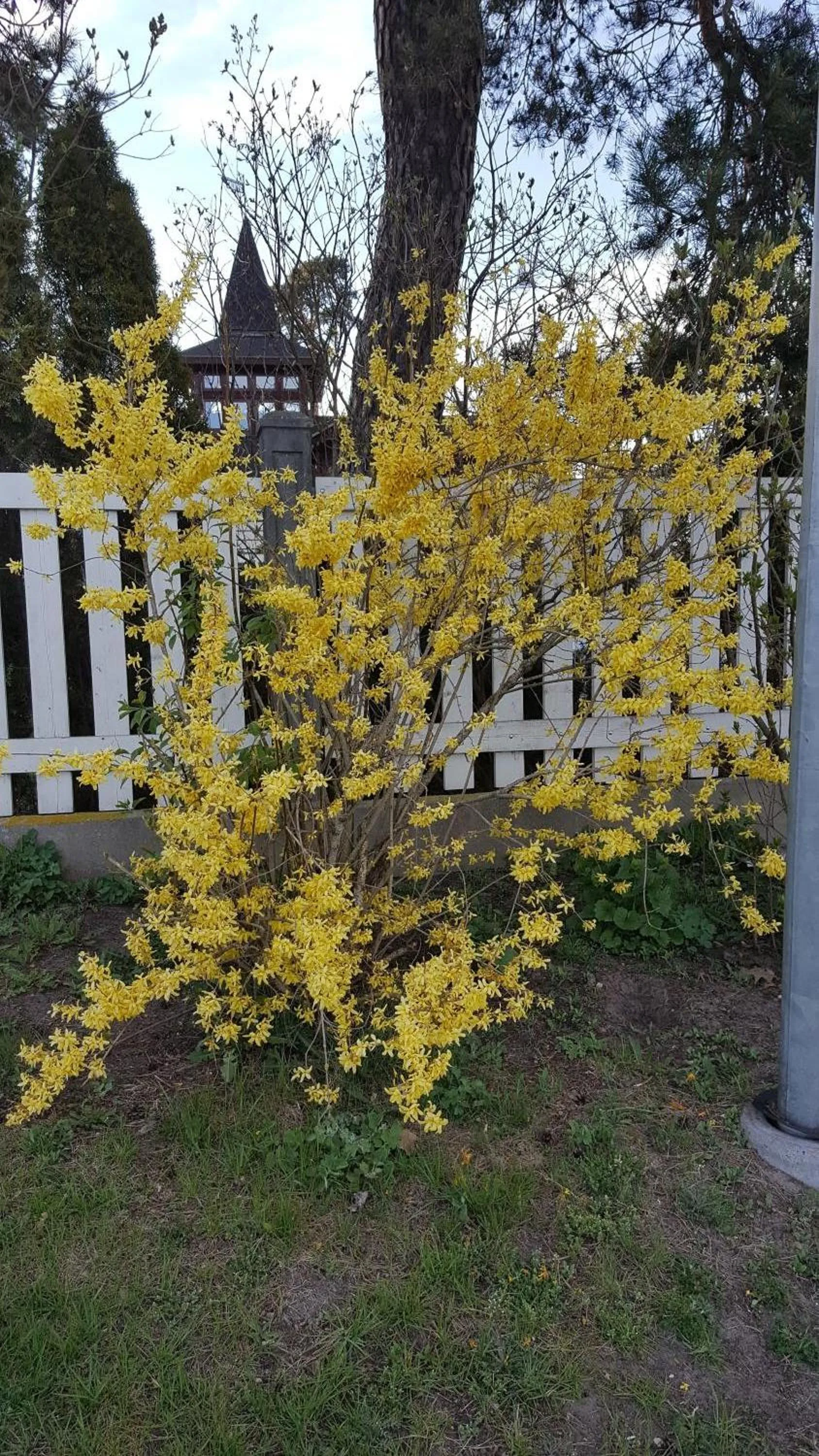 Natural landscape in Amber Coast & Sea