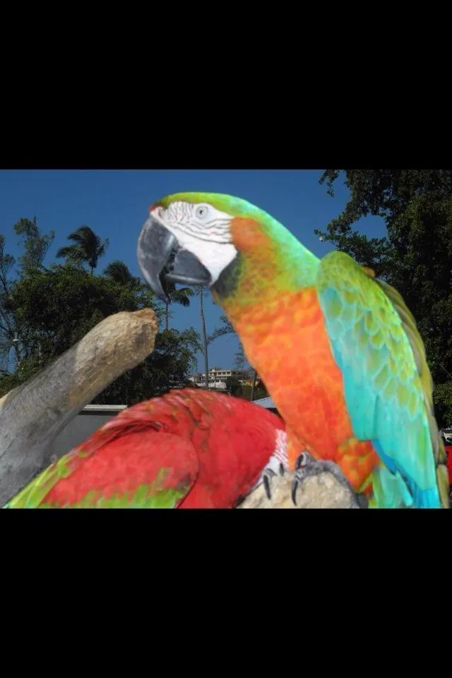 Day in Hotel Colombus