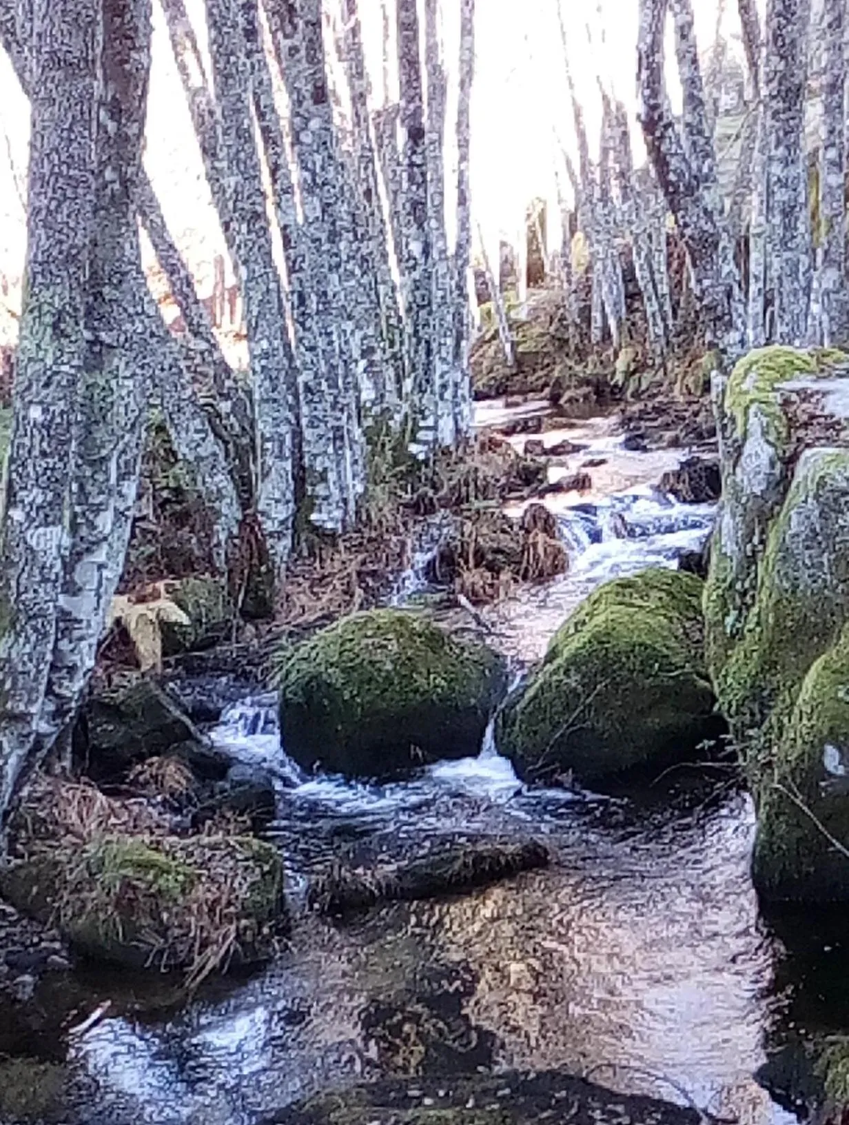 Activities in Casa Aldeia da Lapa