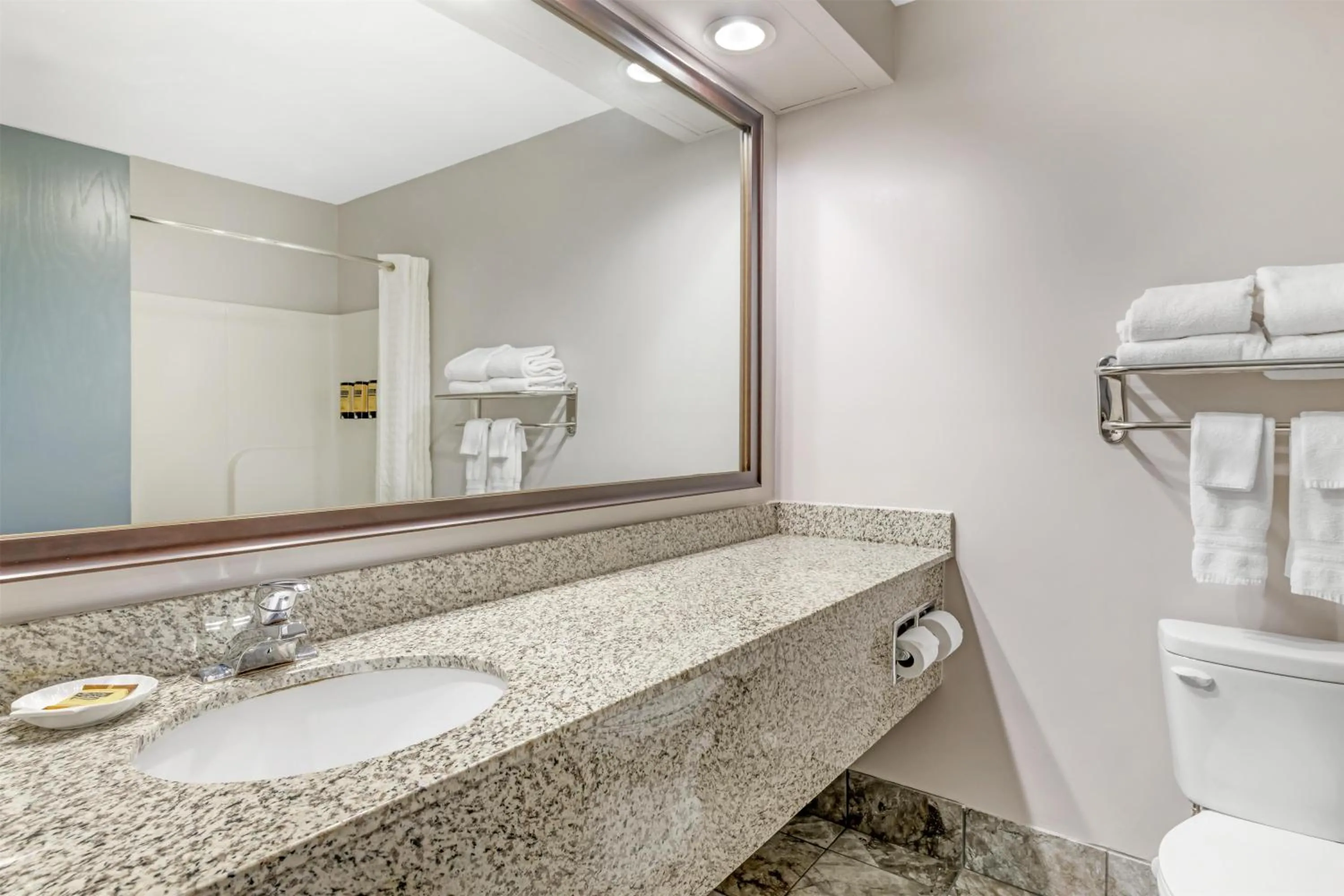 Bathroom in Best Western Plus Eau Claire Conference Center