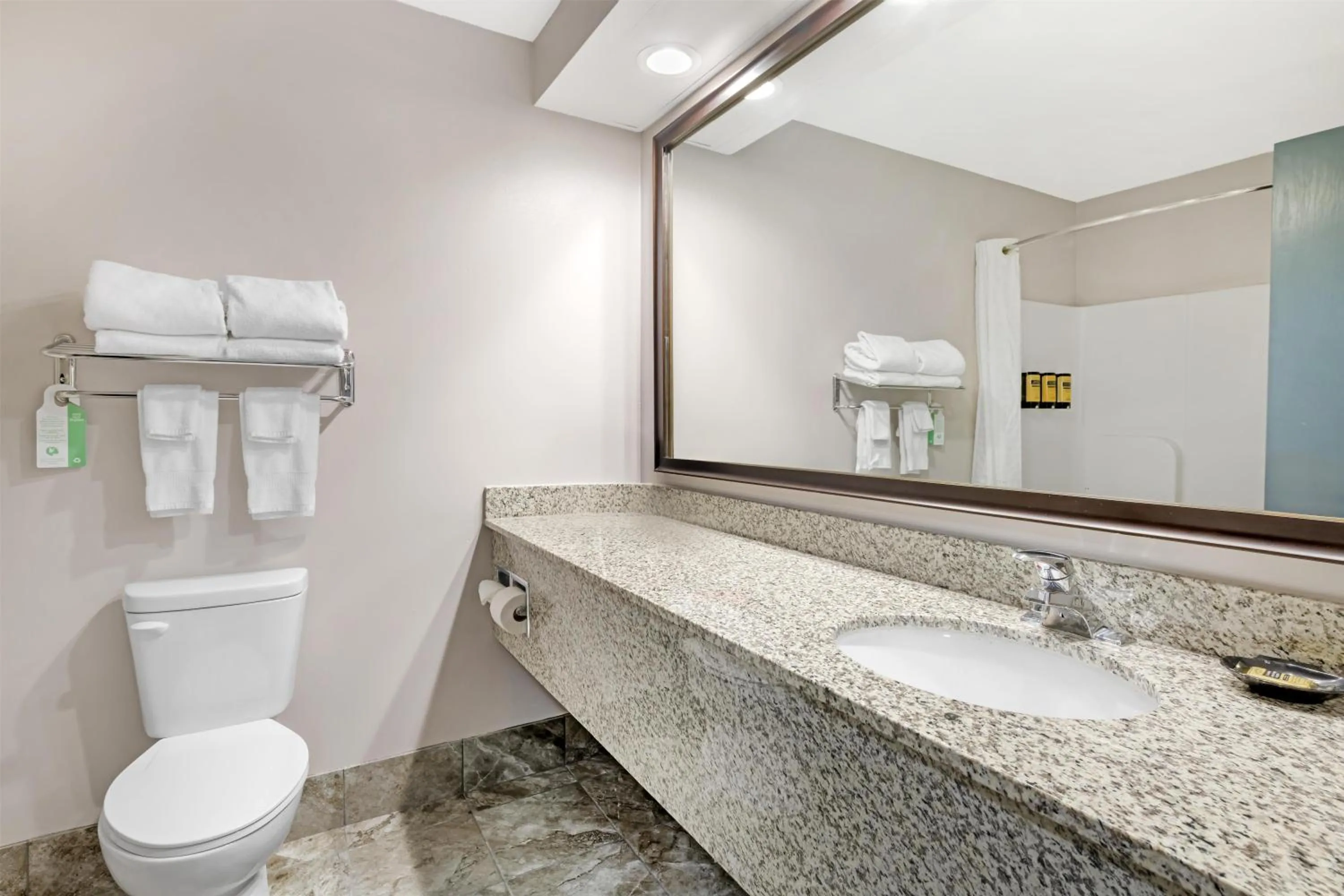 Bathroom in Best Western Plus Eau Claire Conference Center