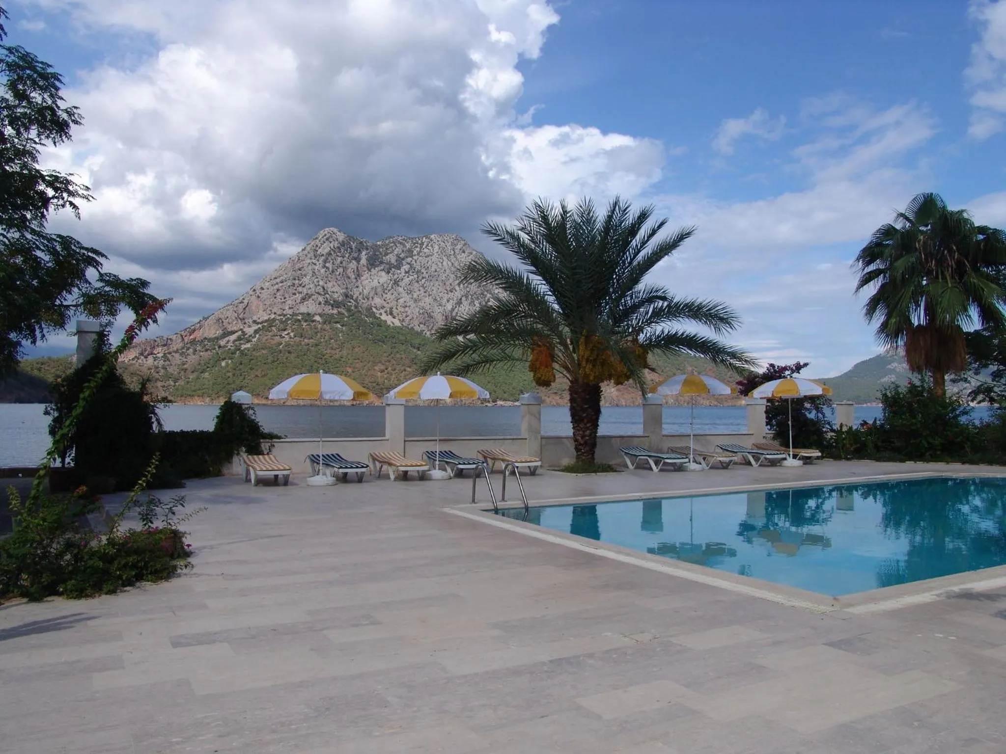 Garden in Ford Hotel