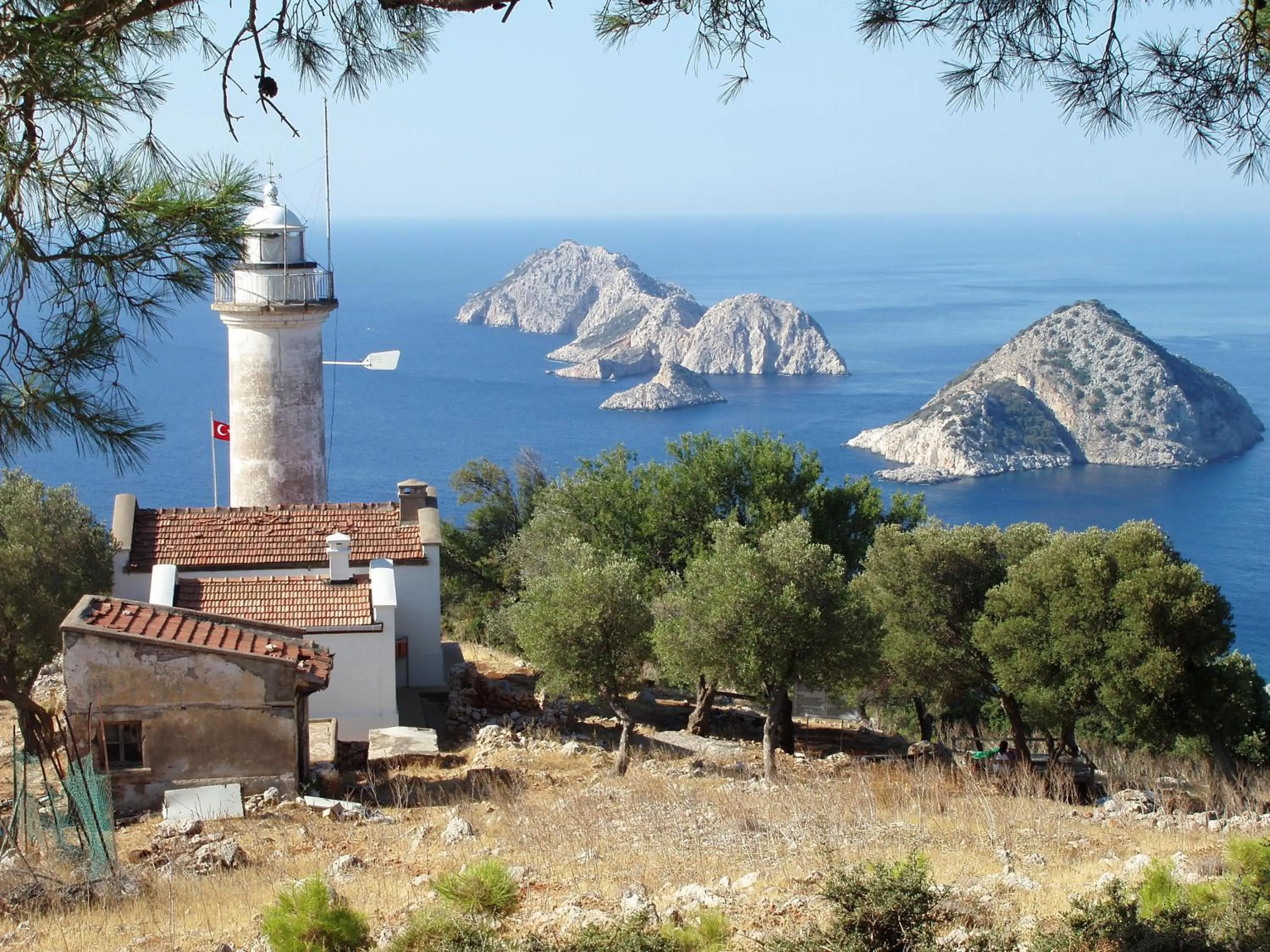 View (from property/room) in Ford Hotel