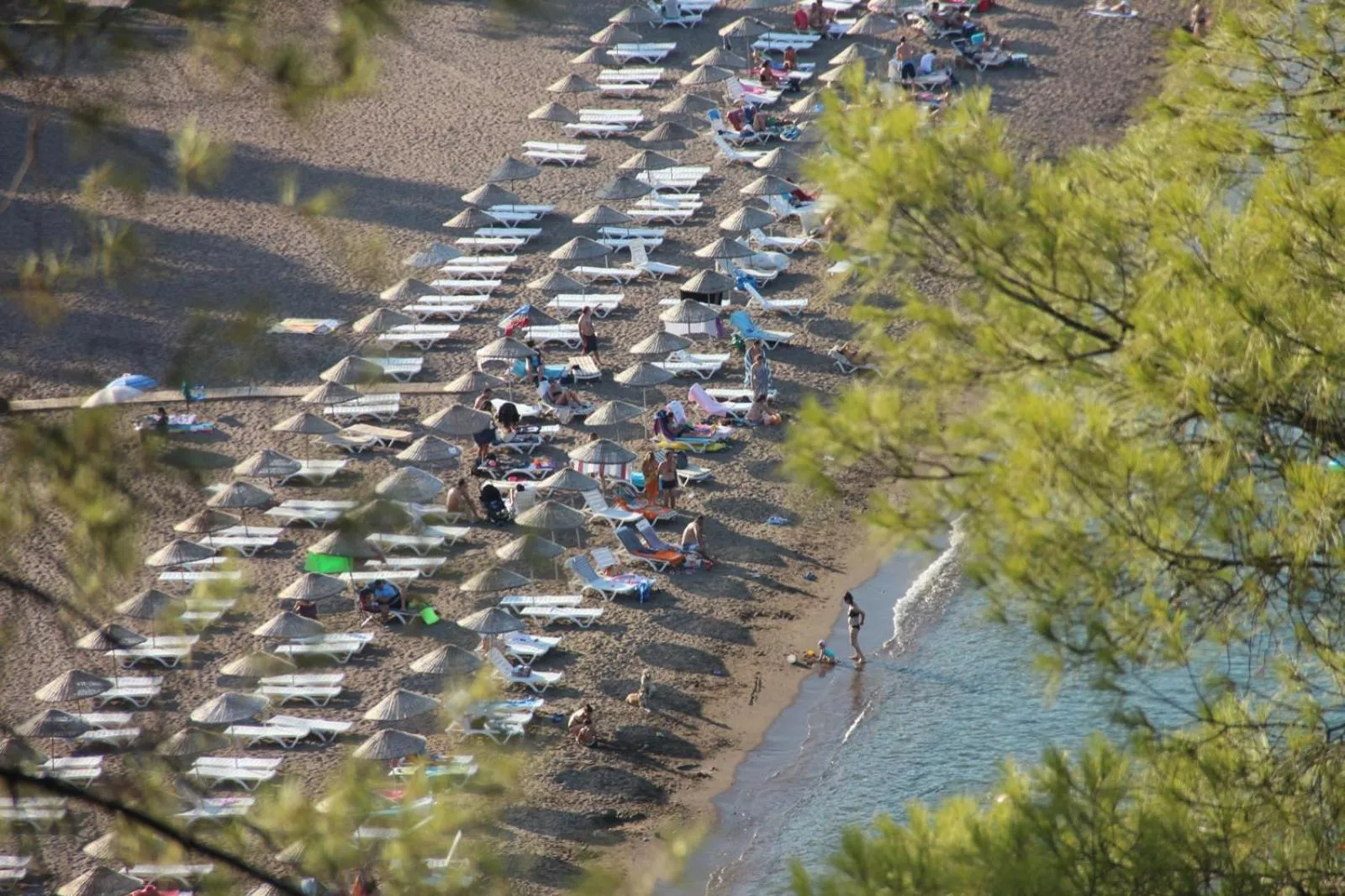 Bird's eye view in Ford Hotel