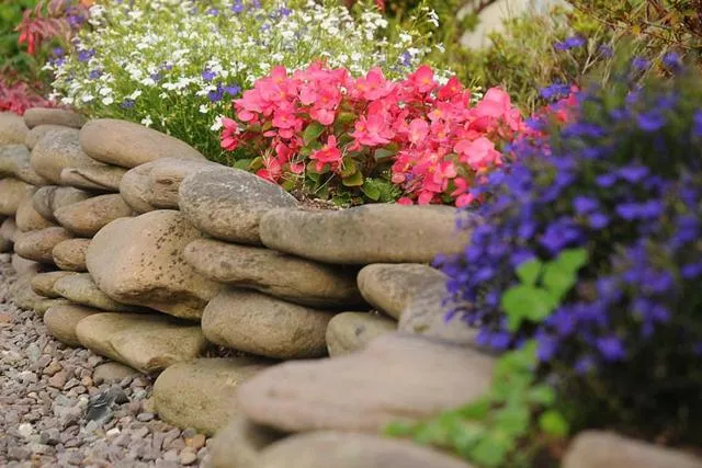 Spring in Glencurrah House B&B