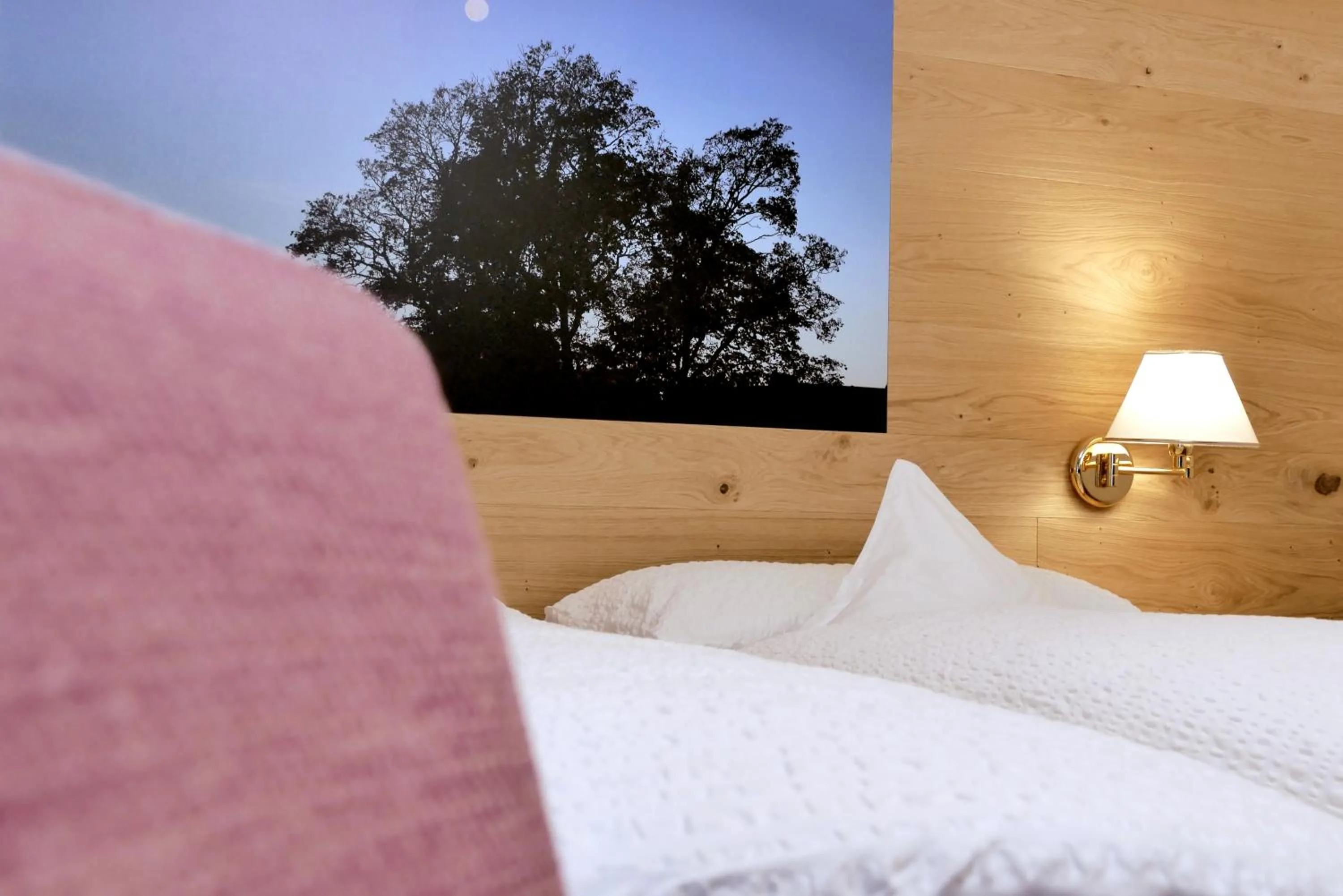 Bed in Hotel Garni Morene