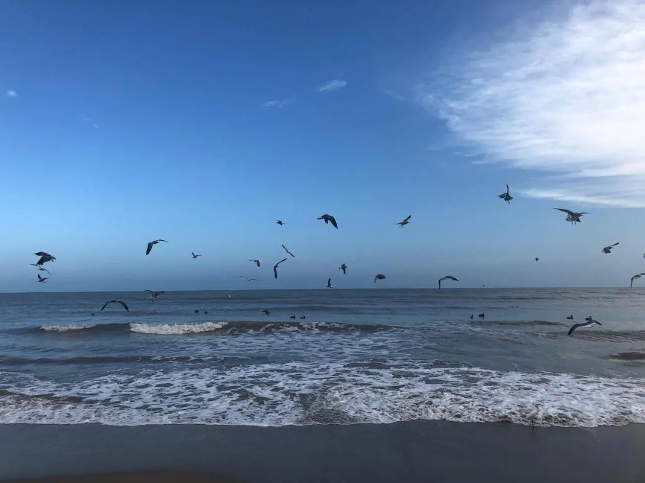 Coccoloba Beach Hotel