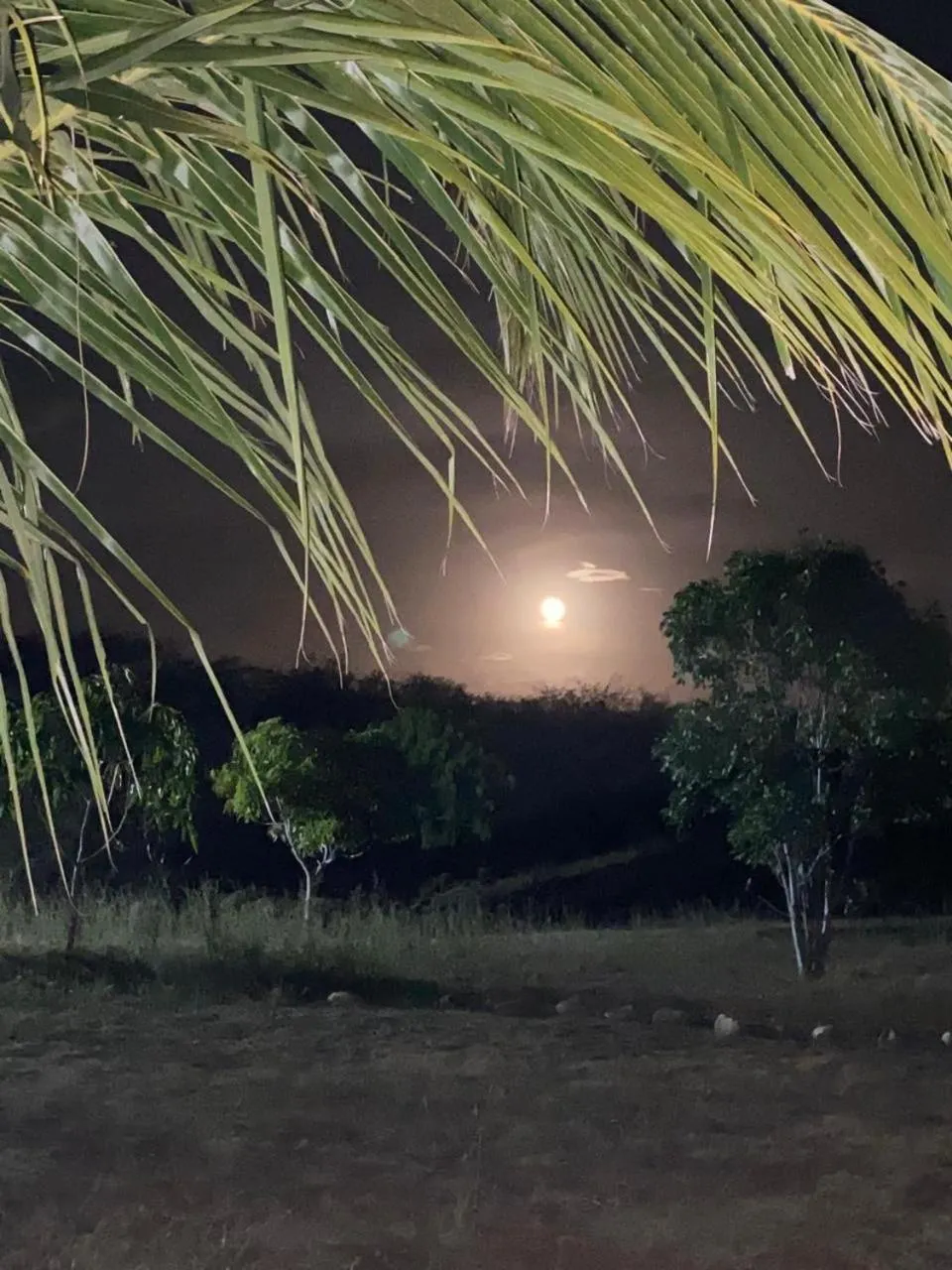 Coccoloba Beach Hotel