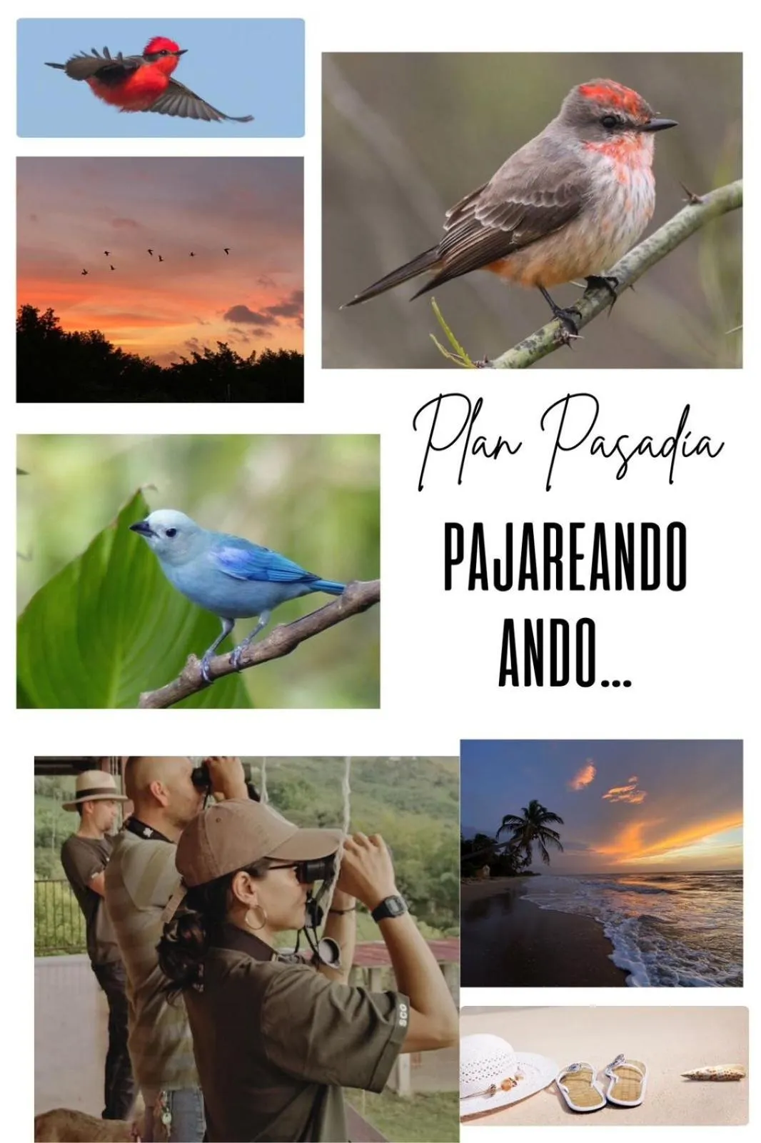 Coccoloba Beach Hotel