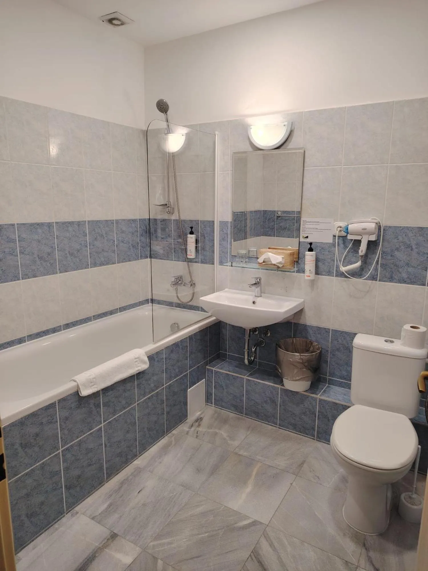 Toilet in Hotel Legie