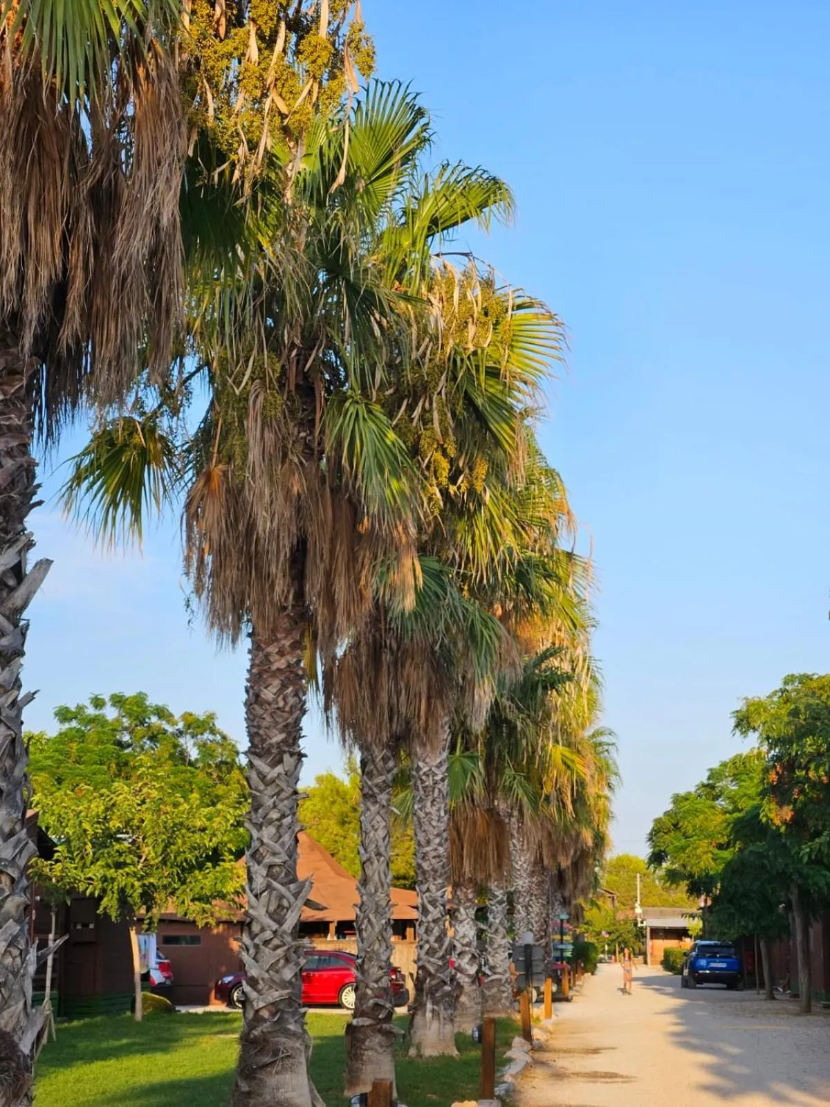 Bungalows Park Albufera