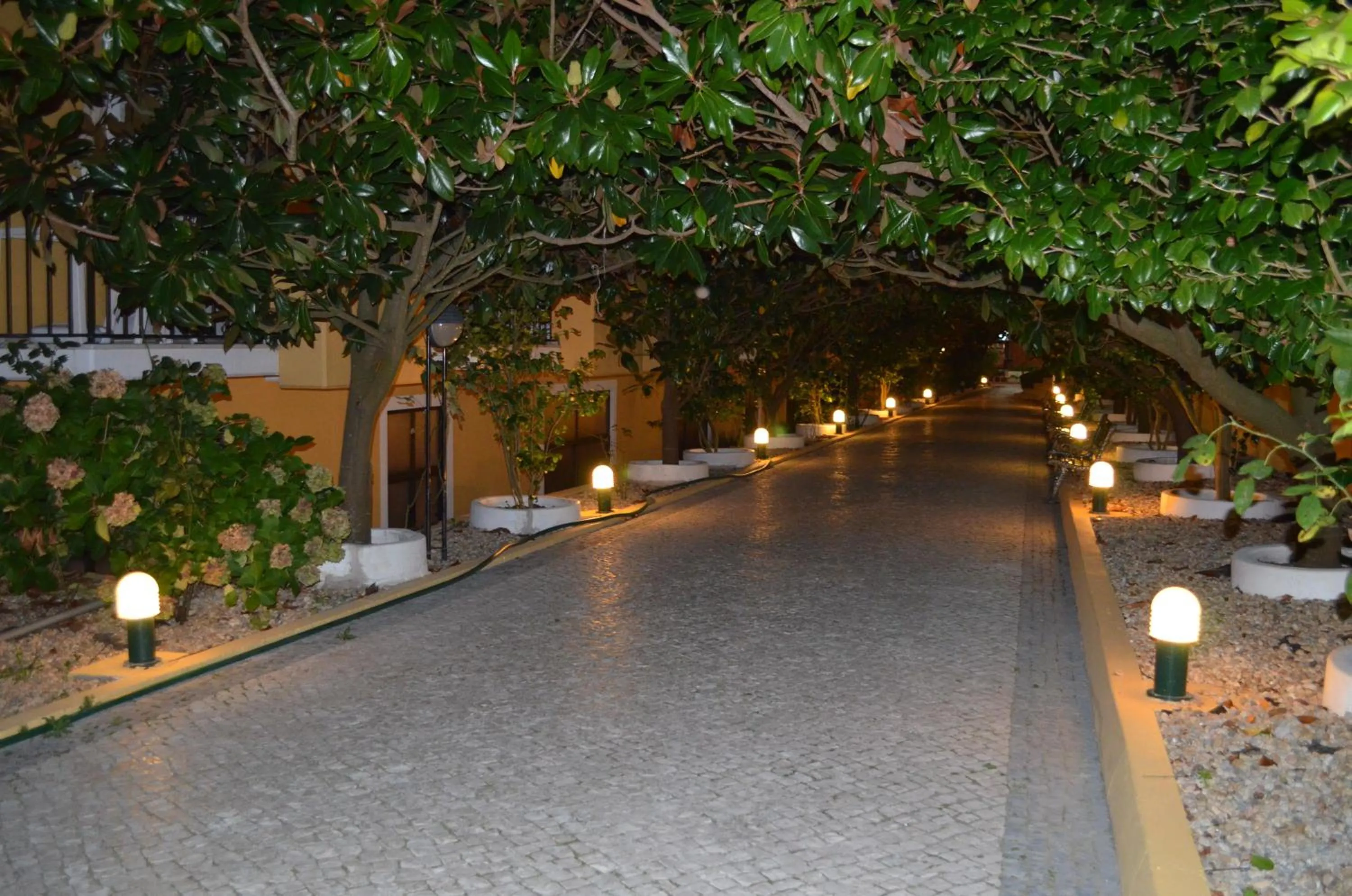 Facade/entrance in D. Afonso Hotel & SPA