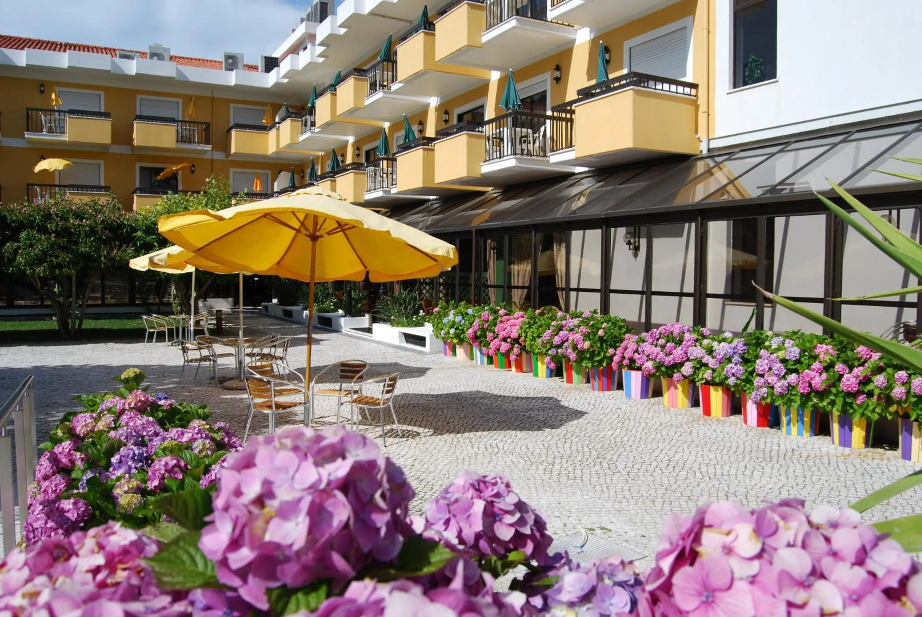 Balcony/Terrace in D. Afonso Hotel & SPA
