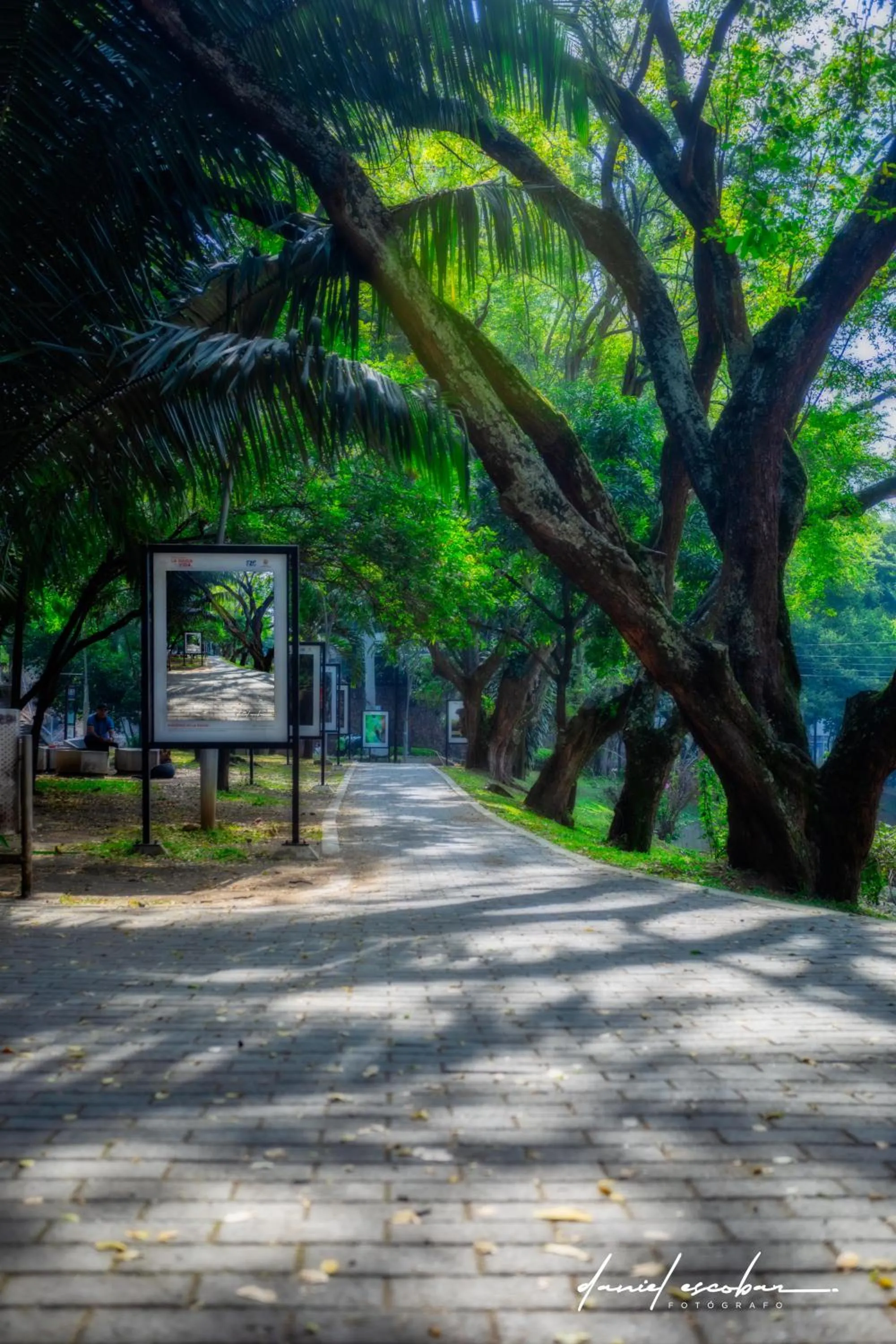 Spring in Hotel Obelisco