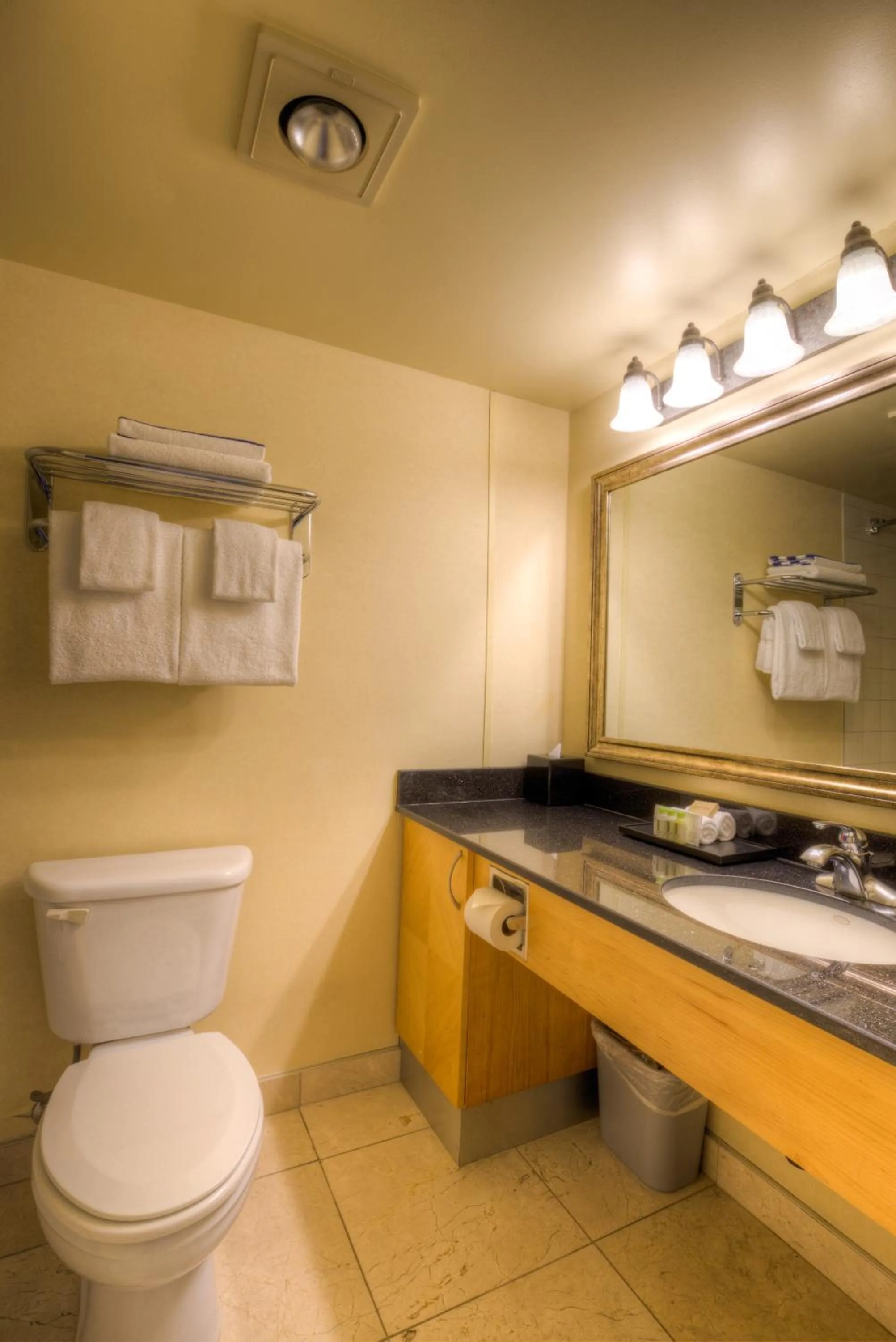 Toilet in Oceanfront Suites at Cowichan Bay
