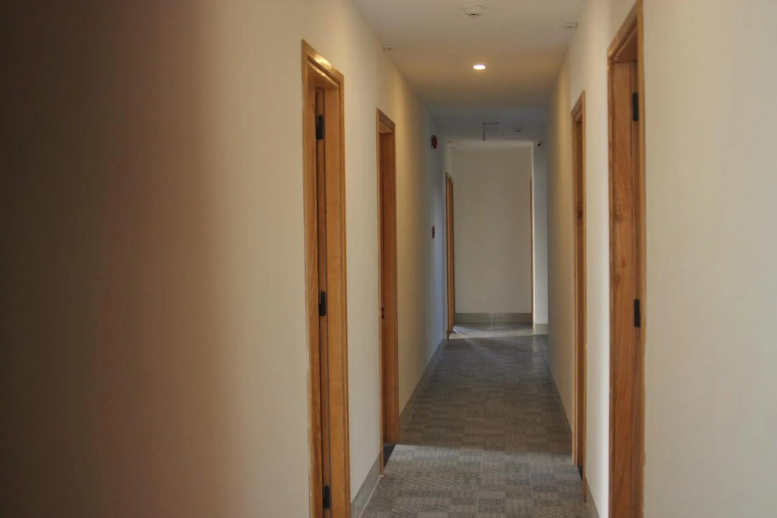 Other in Marigold Hotel & Apartment