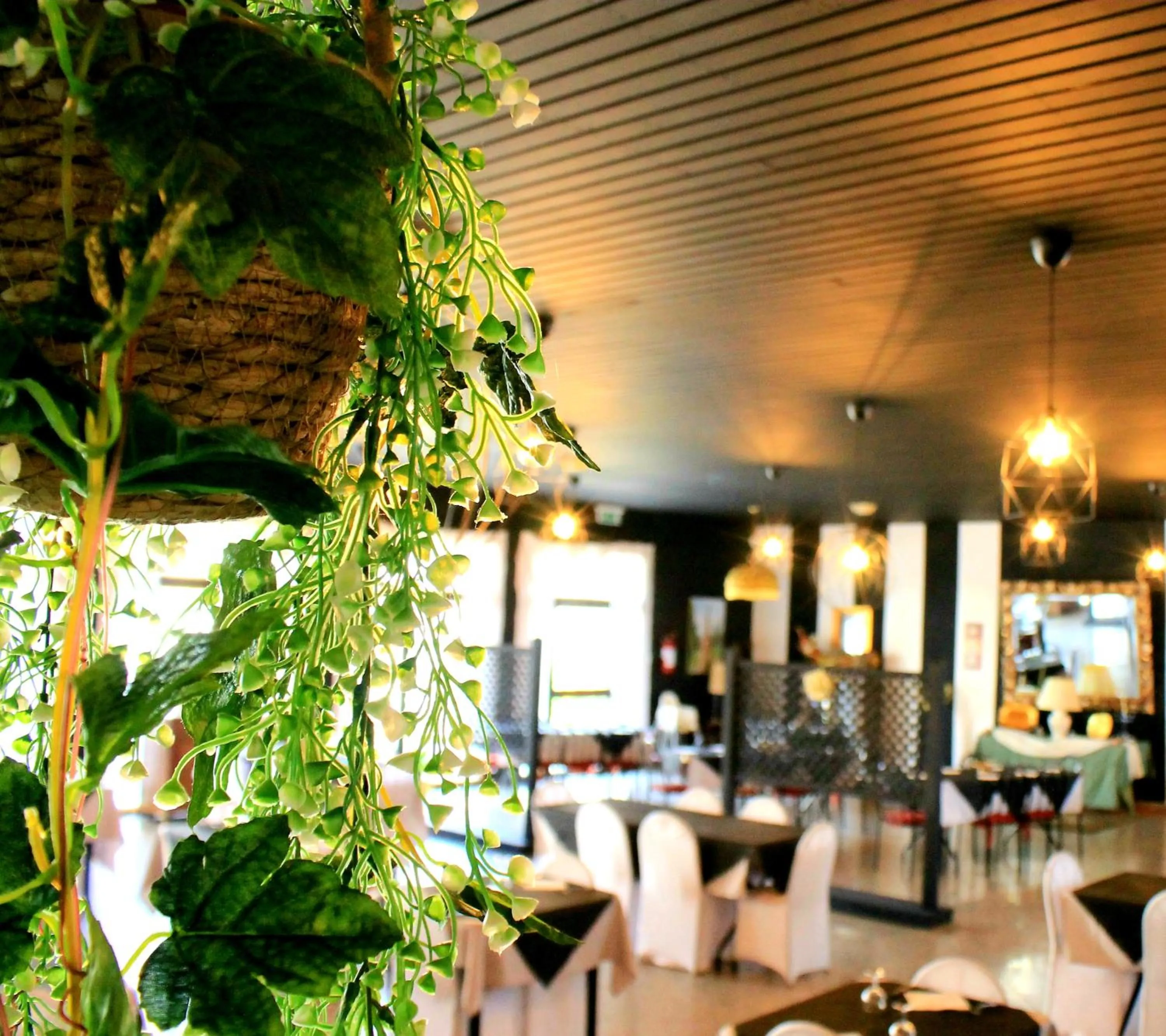 Restaurant/places to eat in Hotel Nuovo Sole HNS