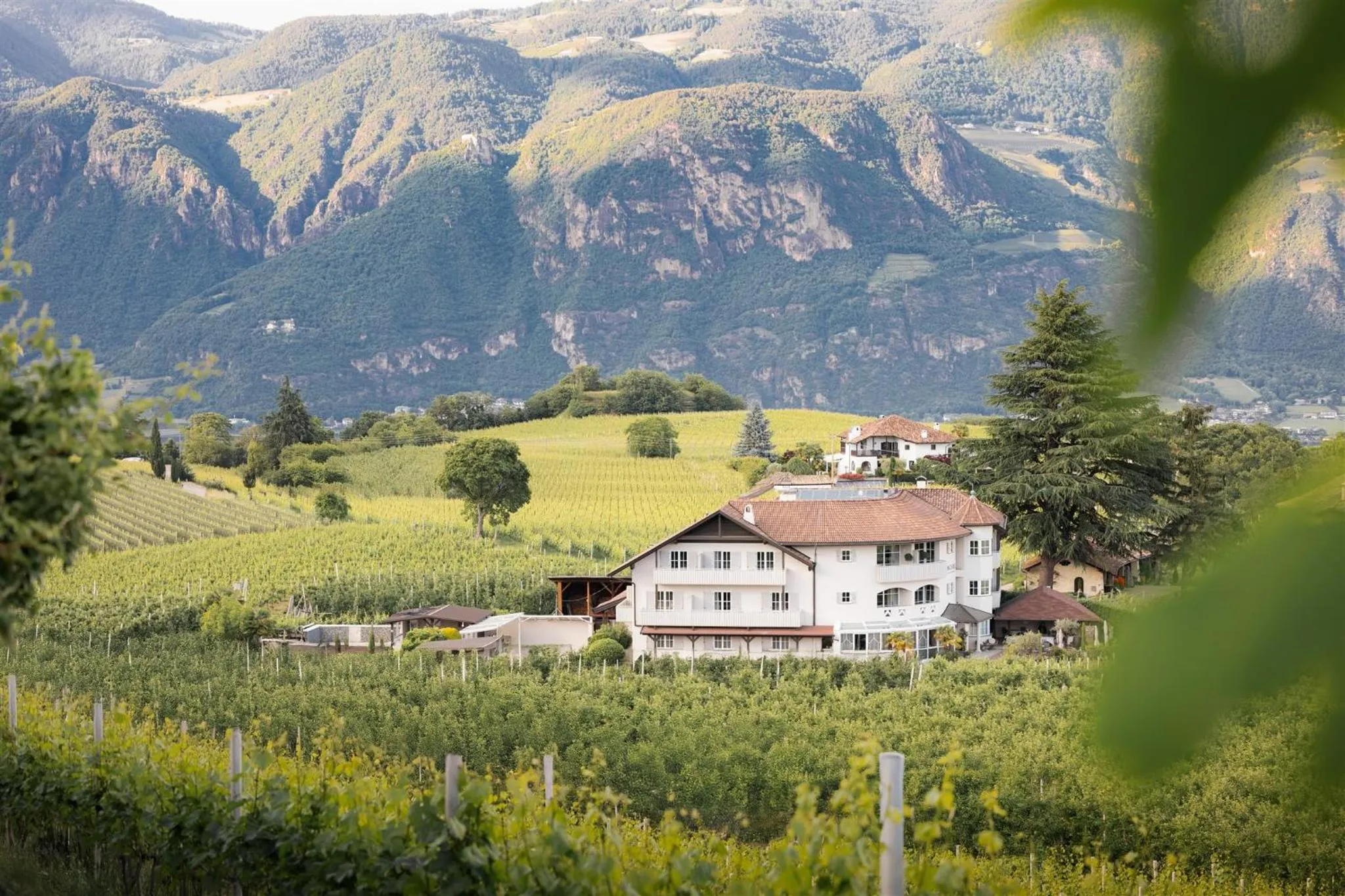 Lingers Suites & Residence