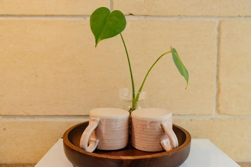 King Suite with Garden View in Portside Motel King Suite with Garden View in Portside Motel