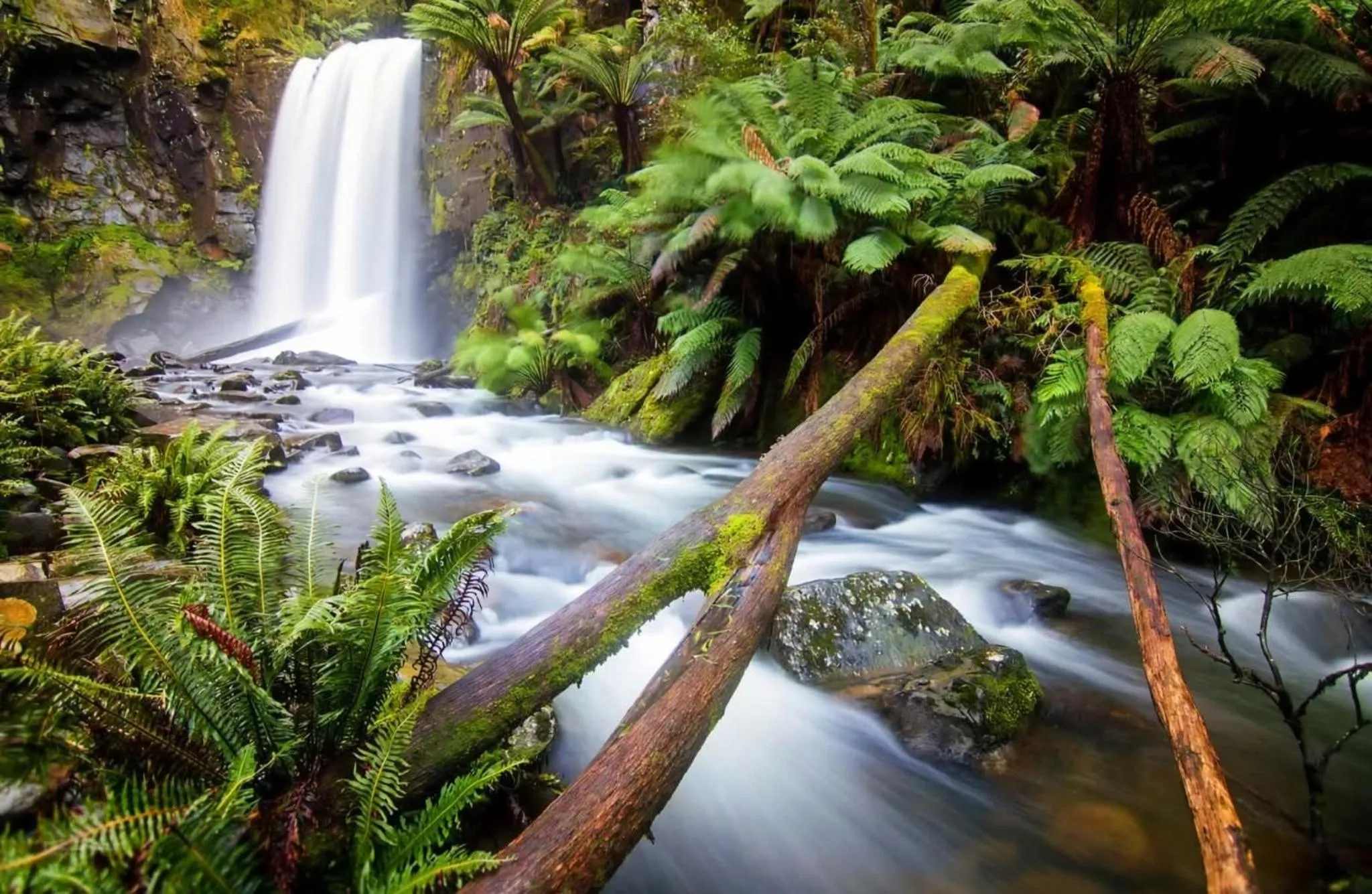 Seaview Motel & Apartments