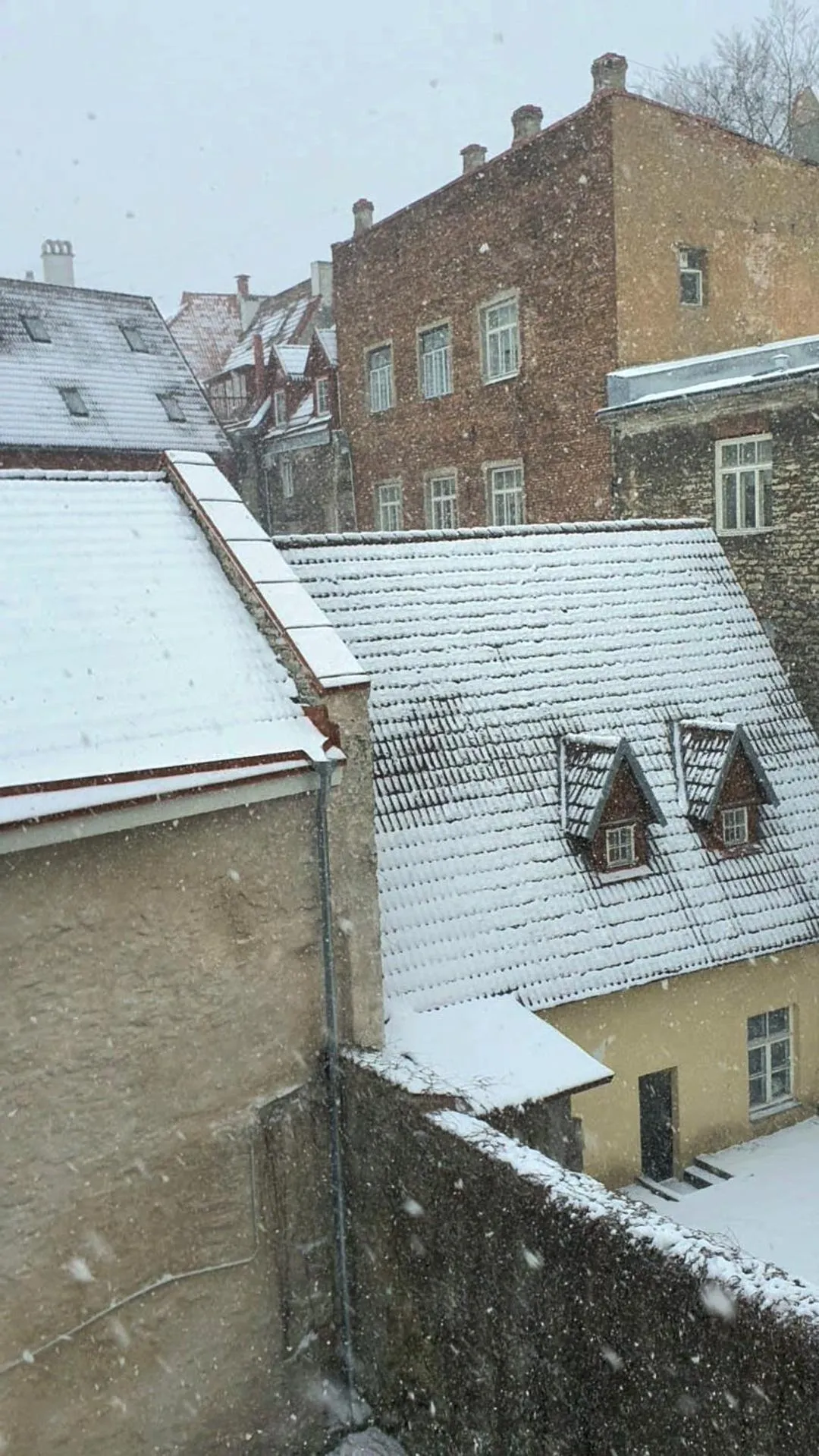 View (from property/room) in Imaginary Hostel