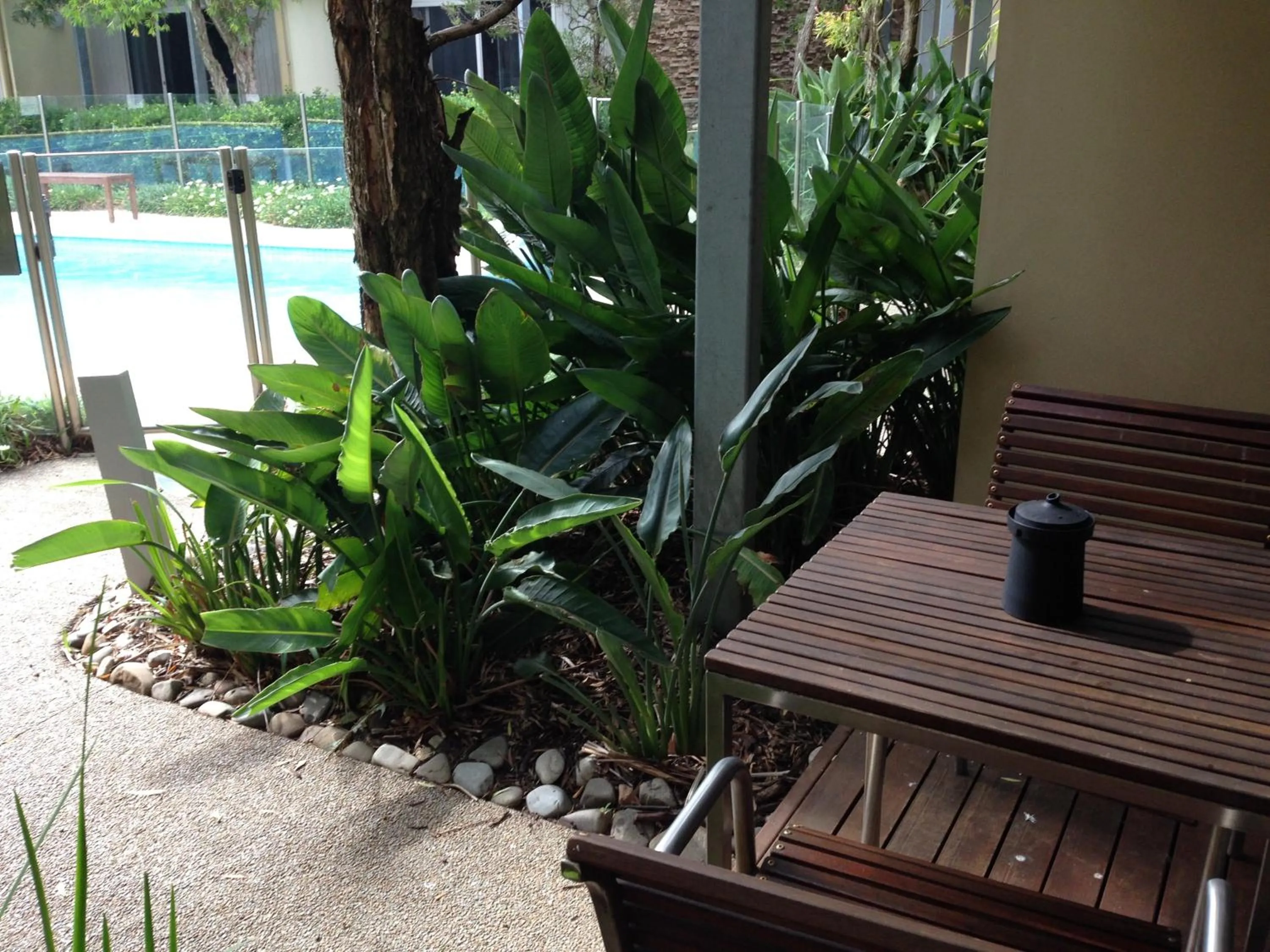 Balcony/Terrace, Swimming Pool in Rye Hotel - One Four Nelson