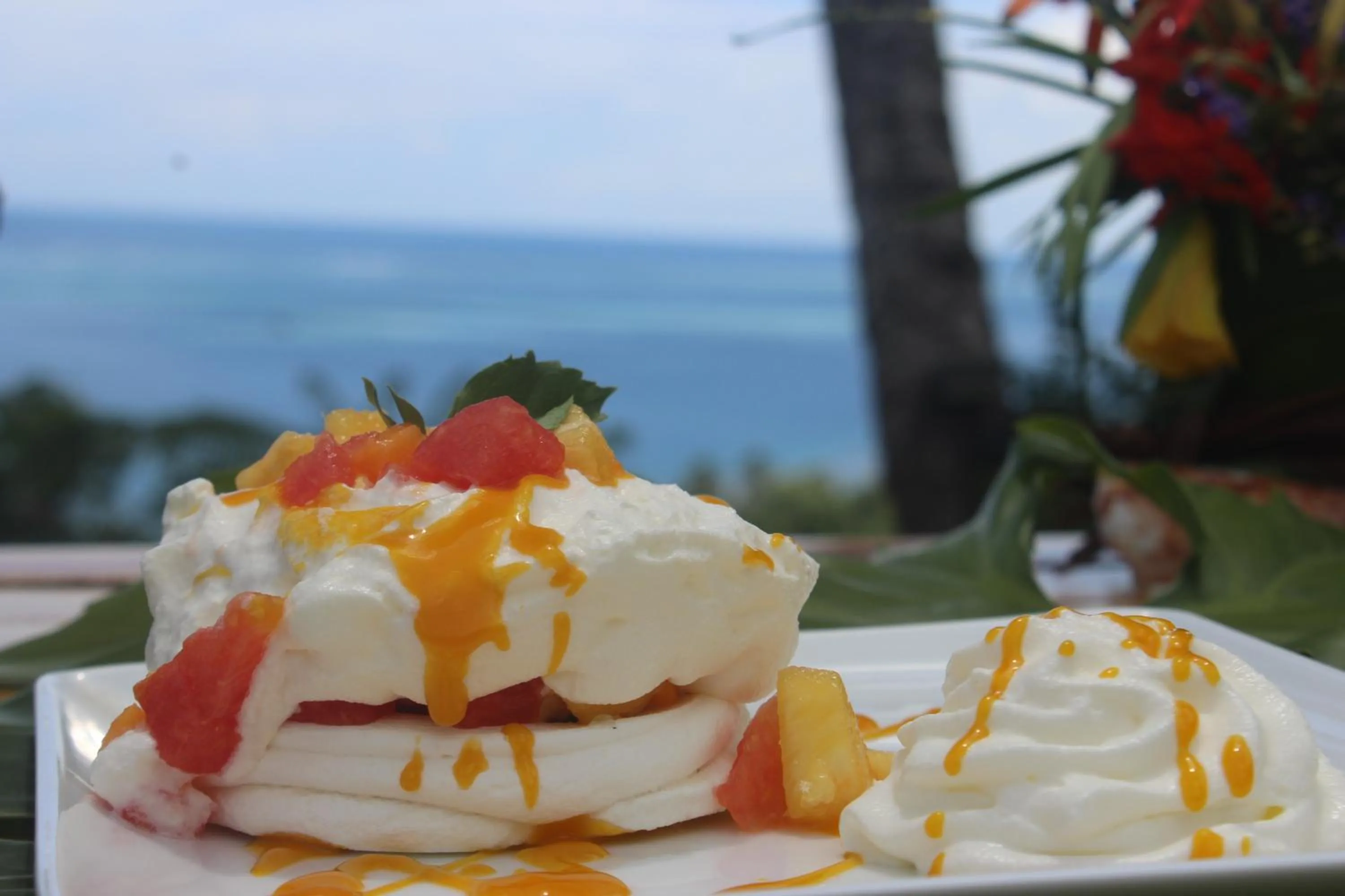 Food in Vanira Lodge