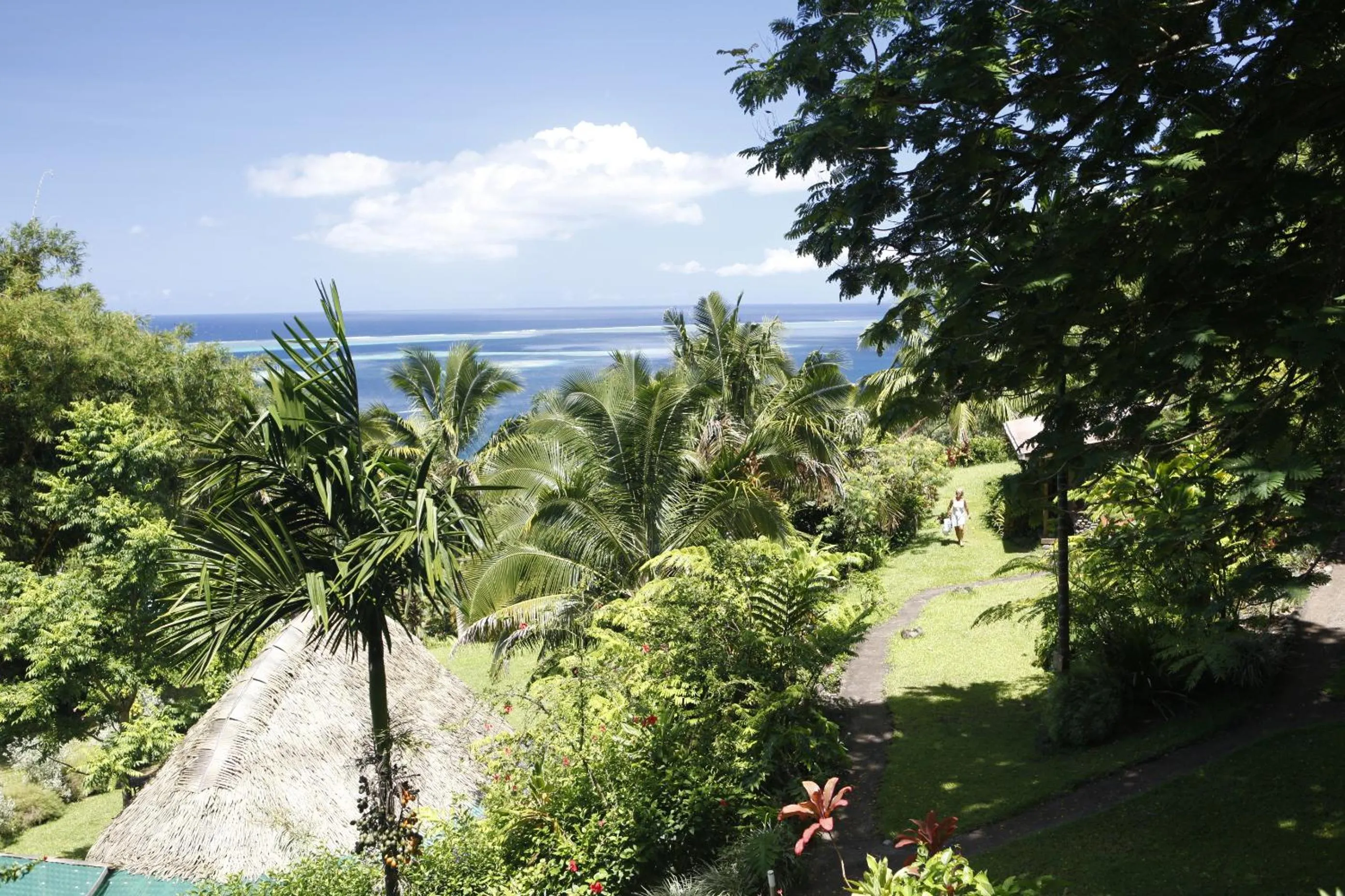 View (from property/room) in Vanira Lodge