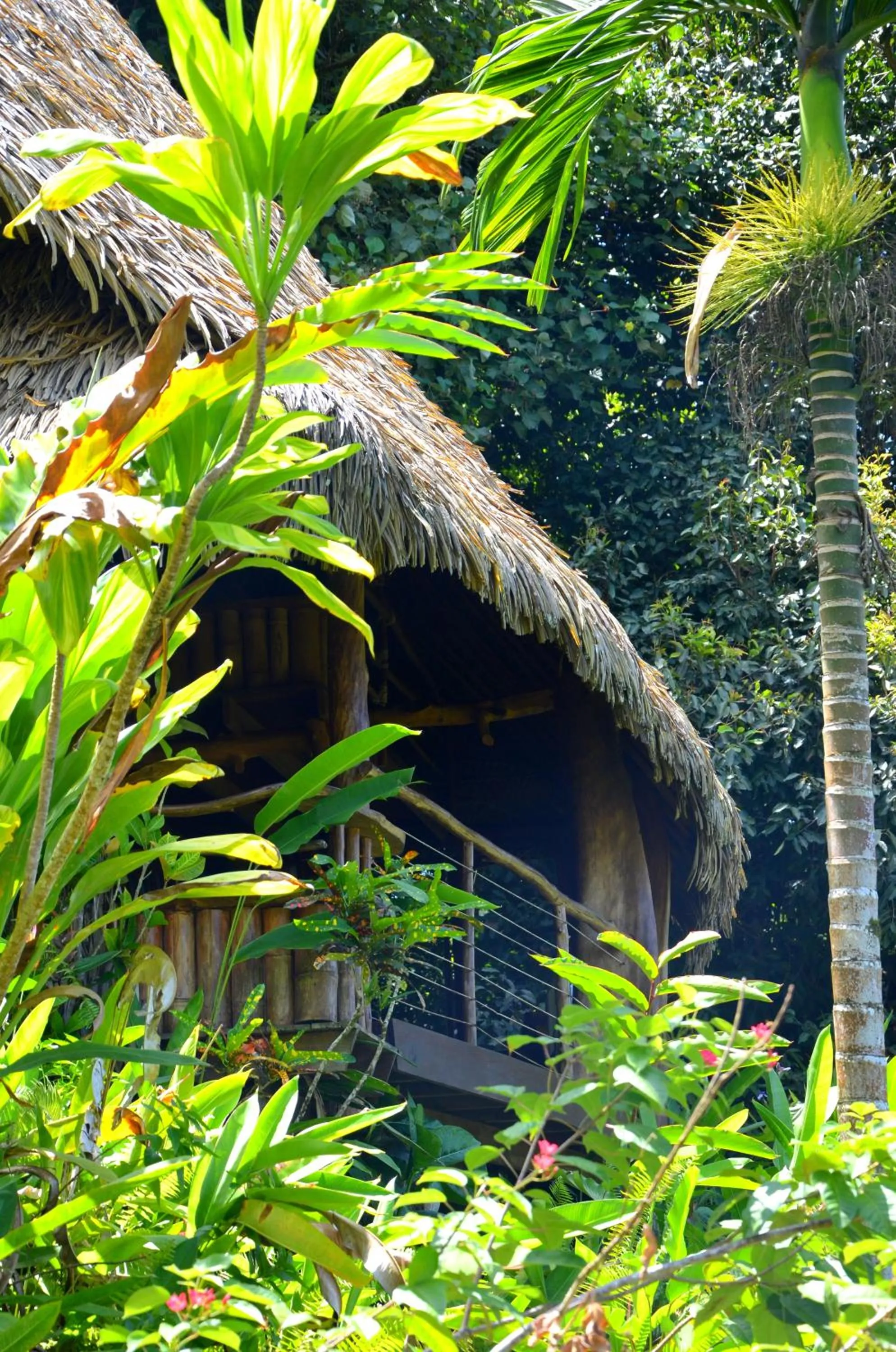 Garden in Vanira Lodge