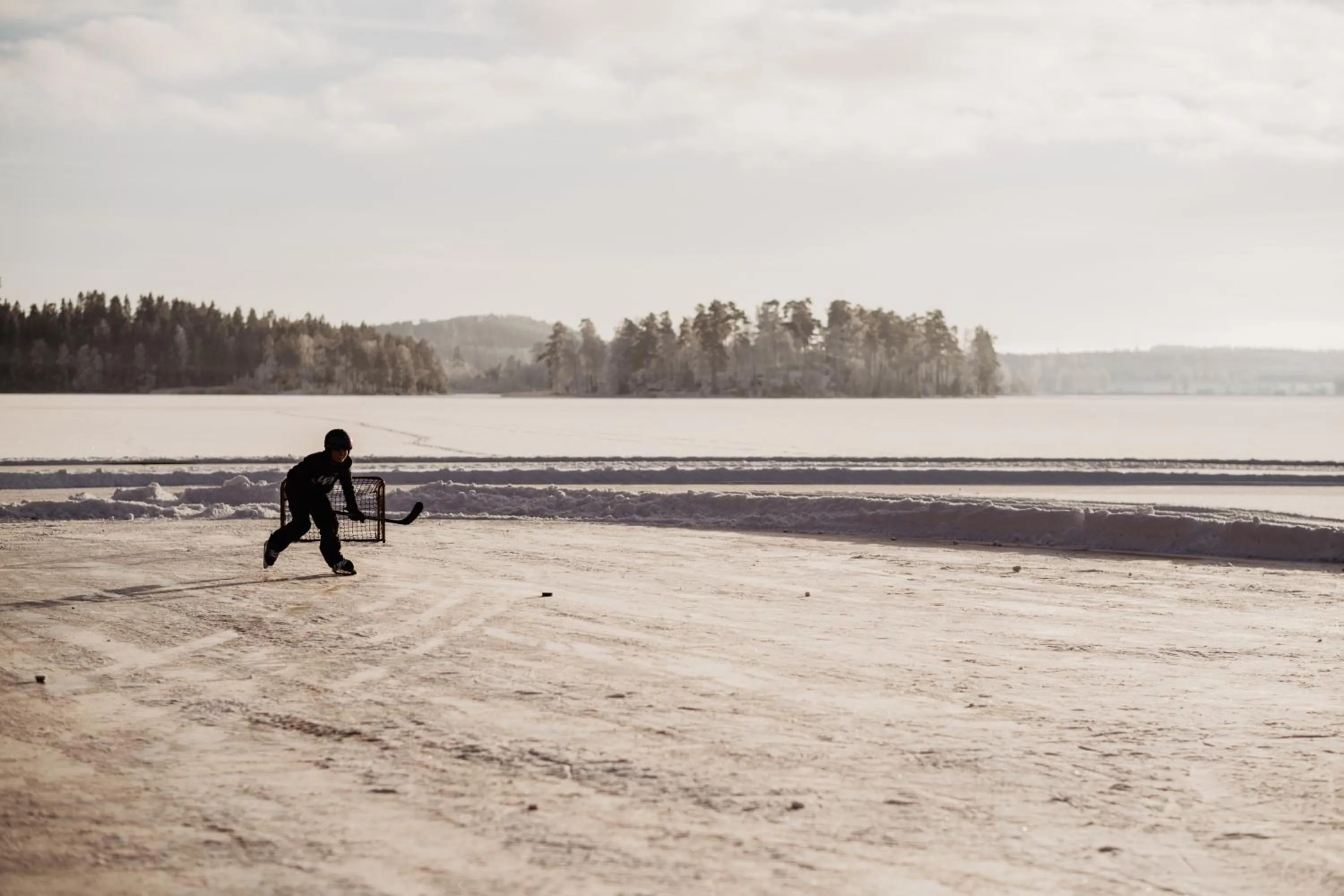 Natural landscape in Stiftsgården Tallnäs