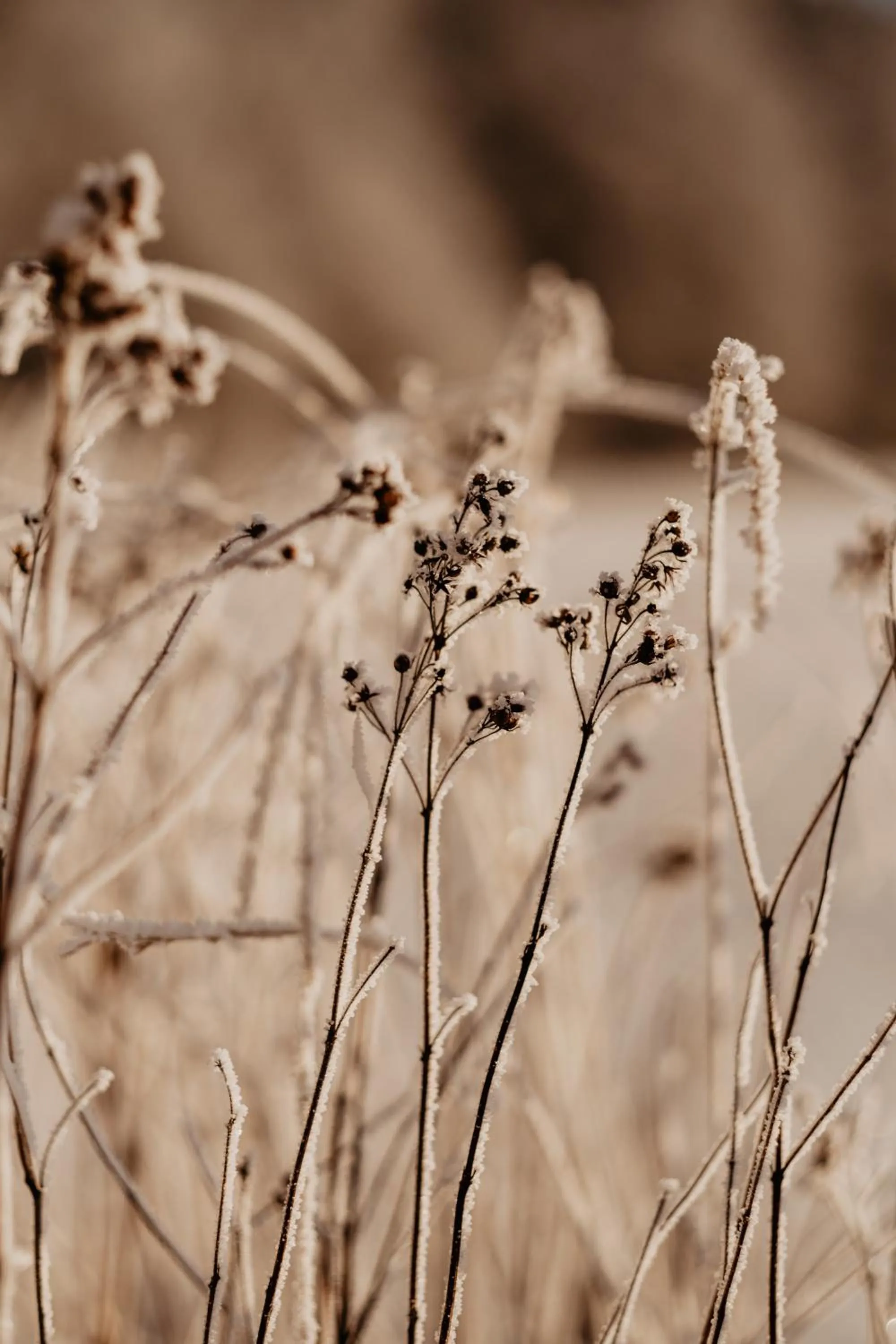 Natural landscape in Stiftsgården Tallnäs
