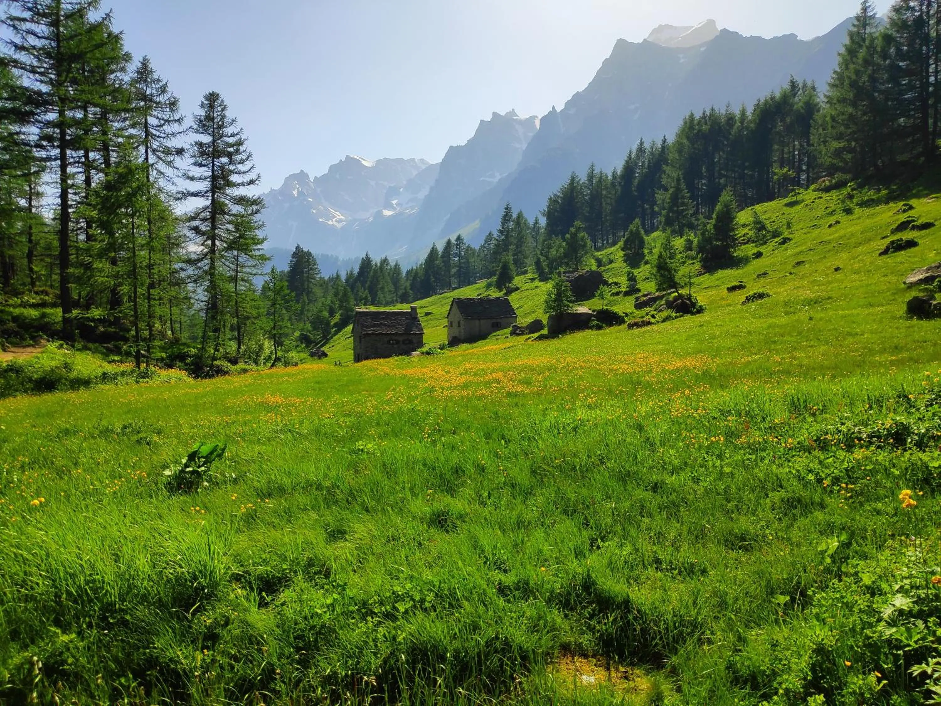 Natural landscape in B&B Chalet Il Picchio