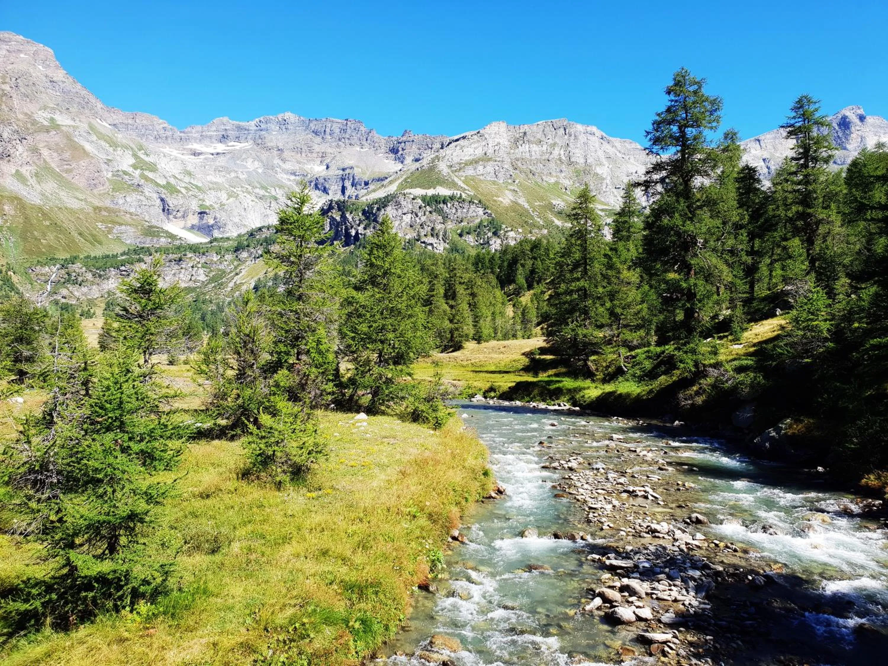 Natural landscape in B&B Chalet Il Picchio