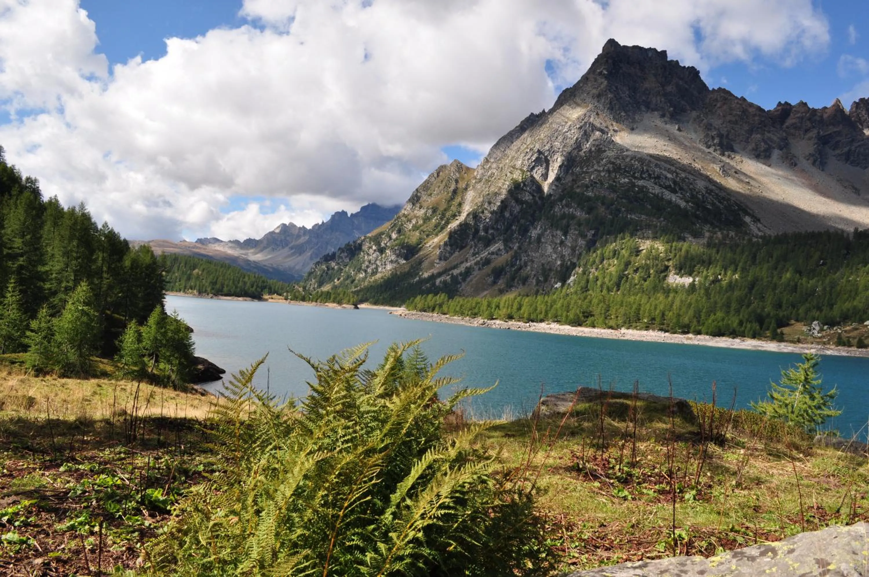 Natural landscape in B&B Chalet Il Picchio