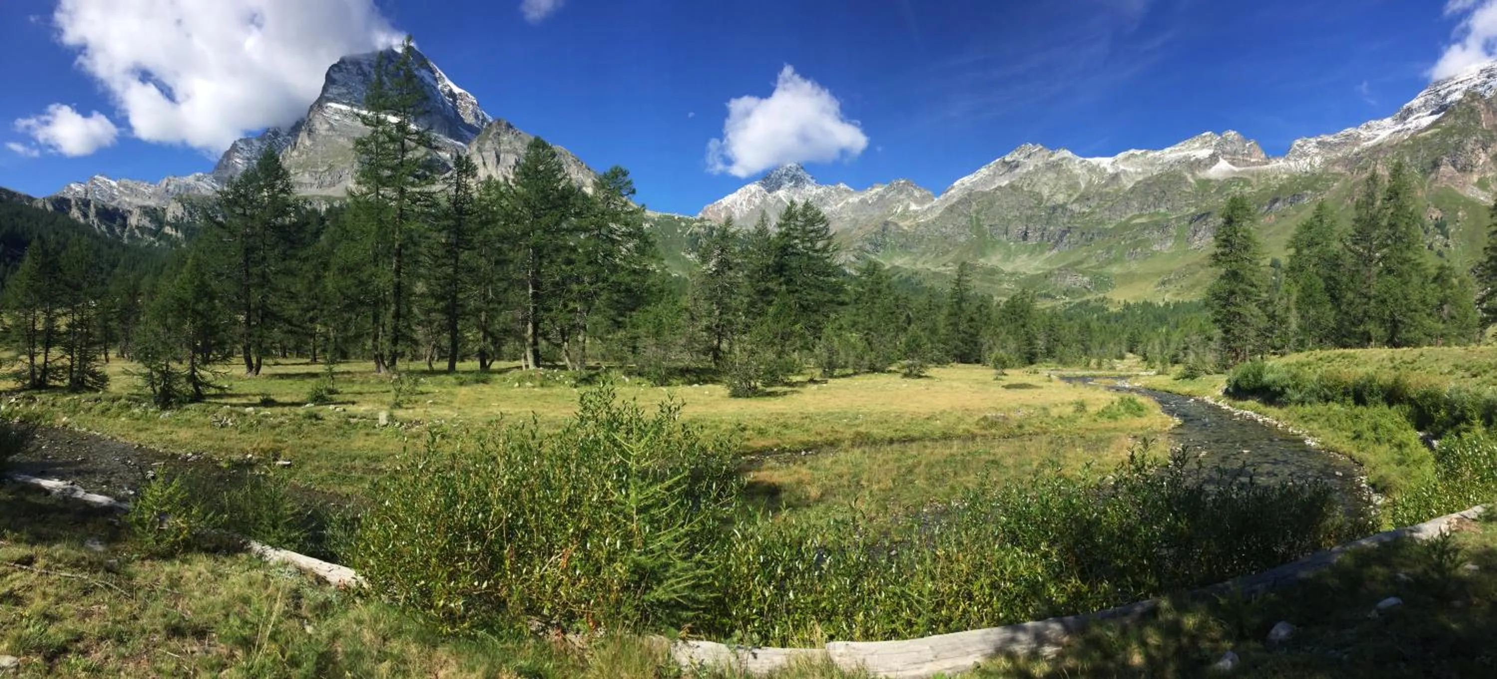 Natural landscape in B&B Chalet Il Picchio