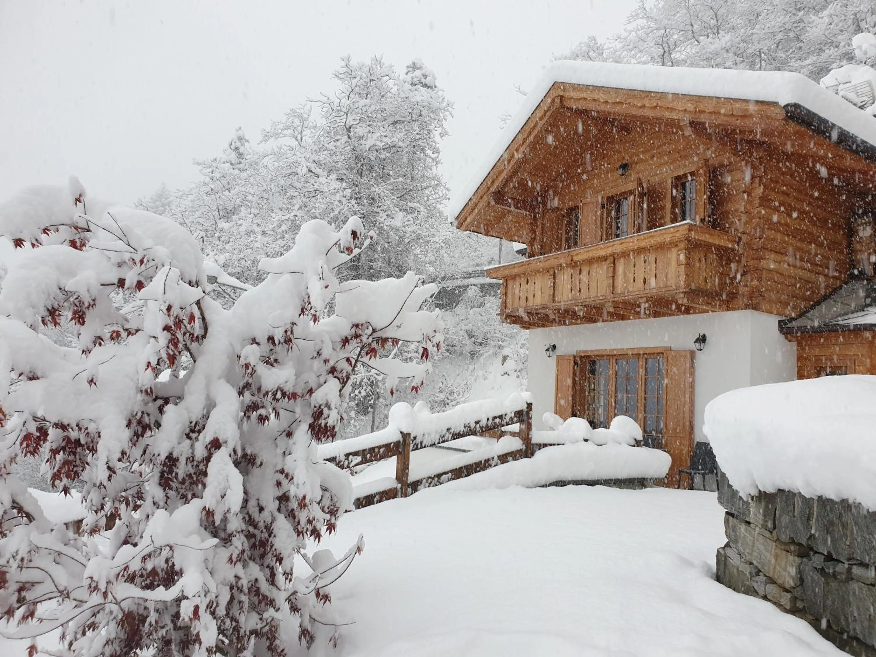 Property building in B&B Chalet Il Picchio