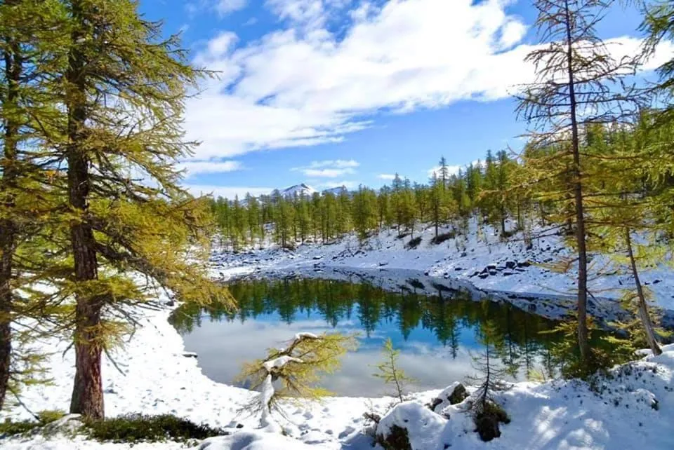 Natural landscape in B&B Chalet Il Picchio